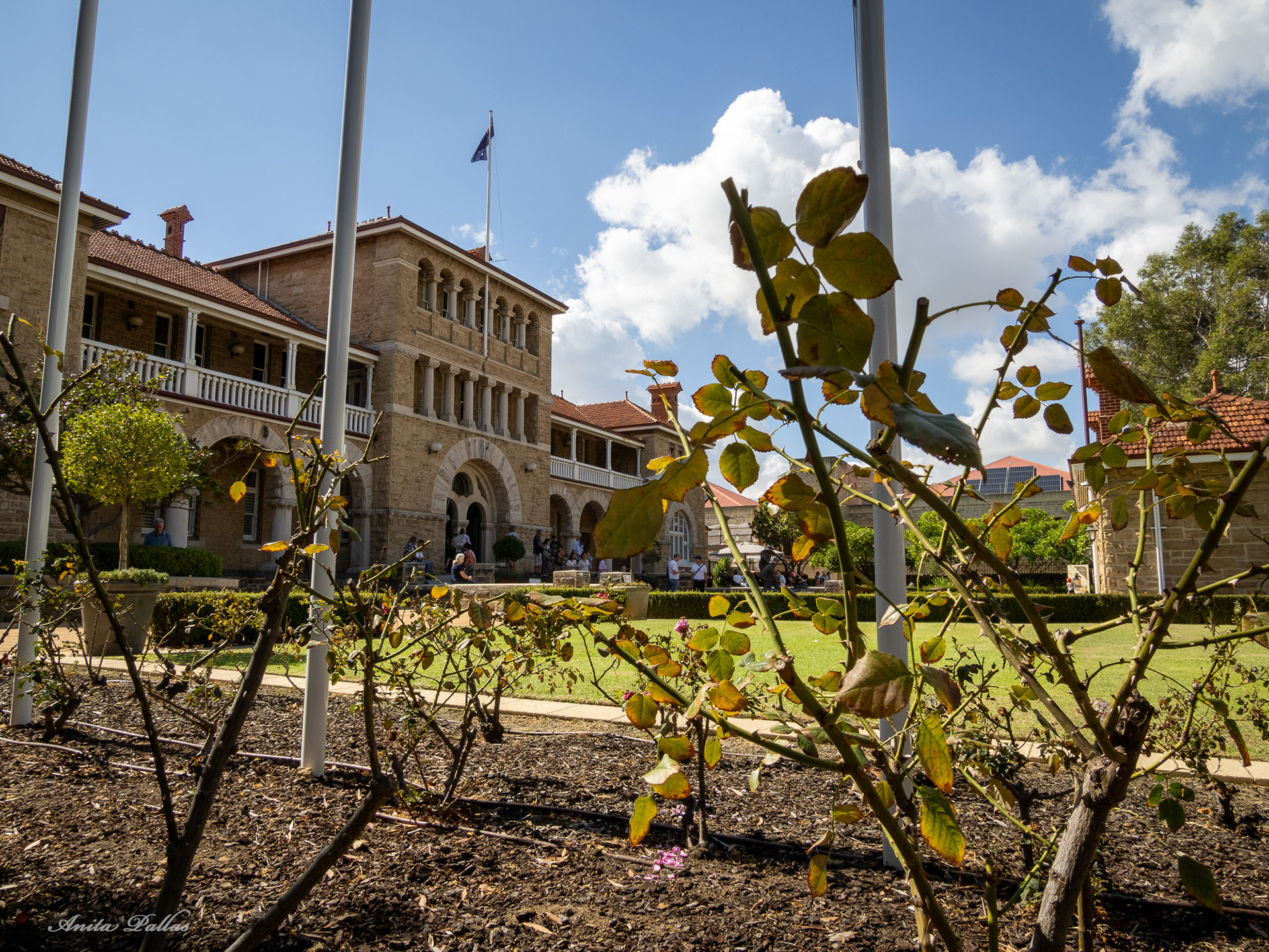 Perth Mint