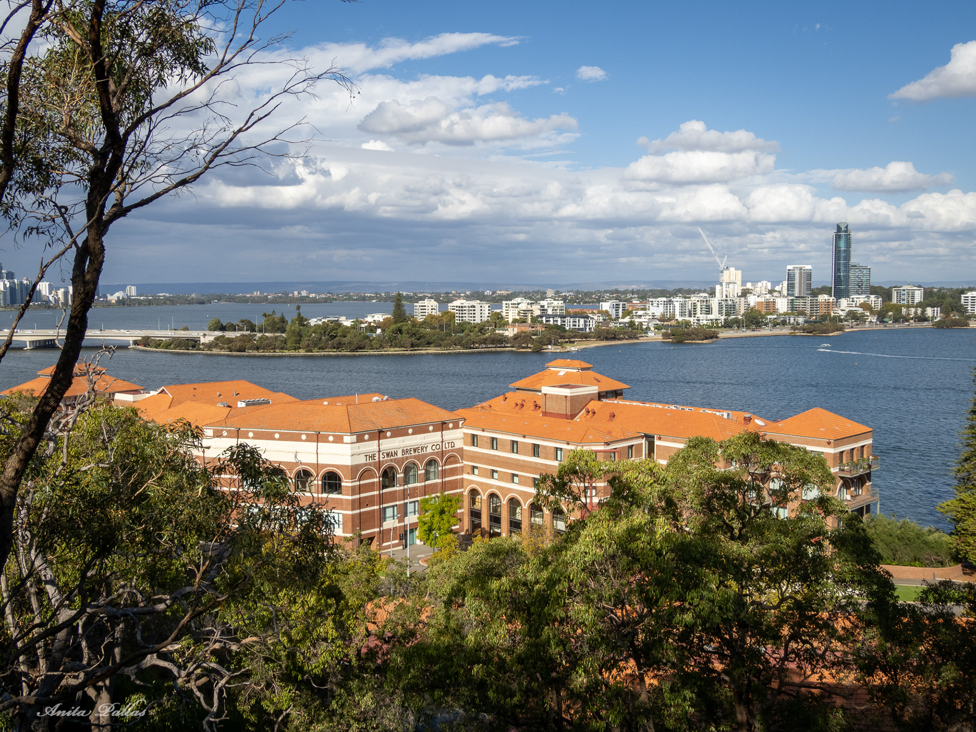 Perth - Kings Park & Botanic Gardens