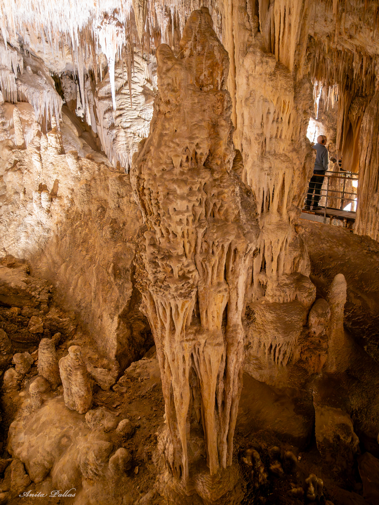 Mammoth Cave