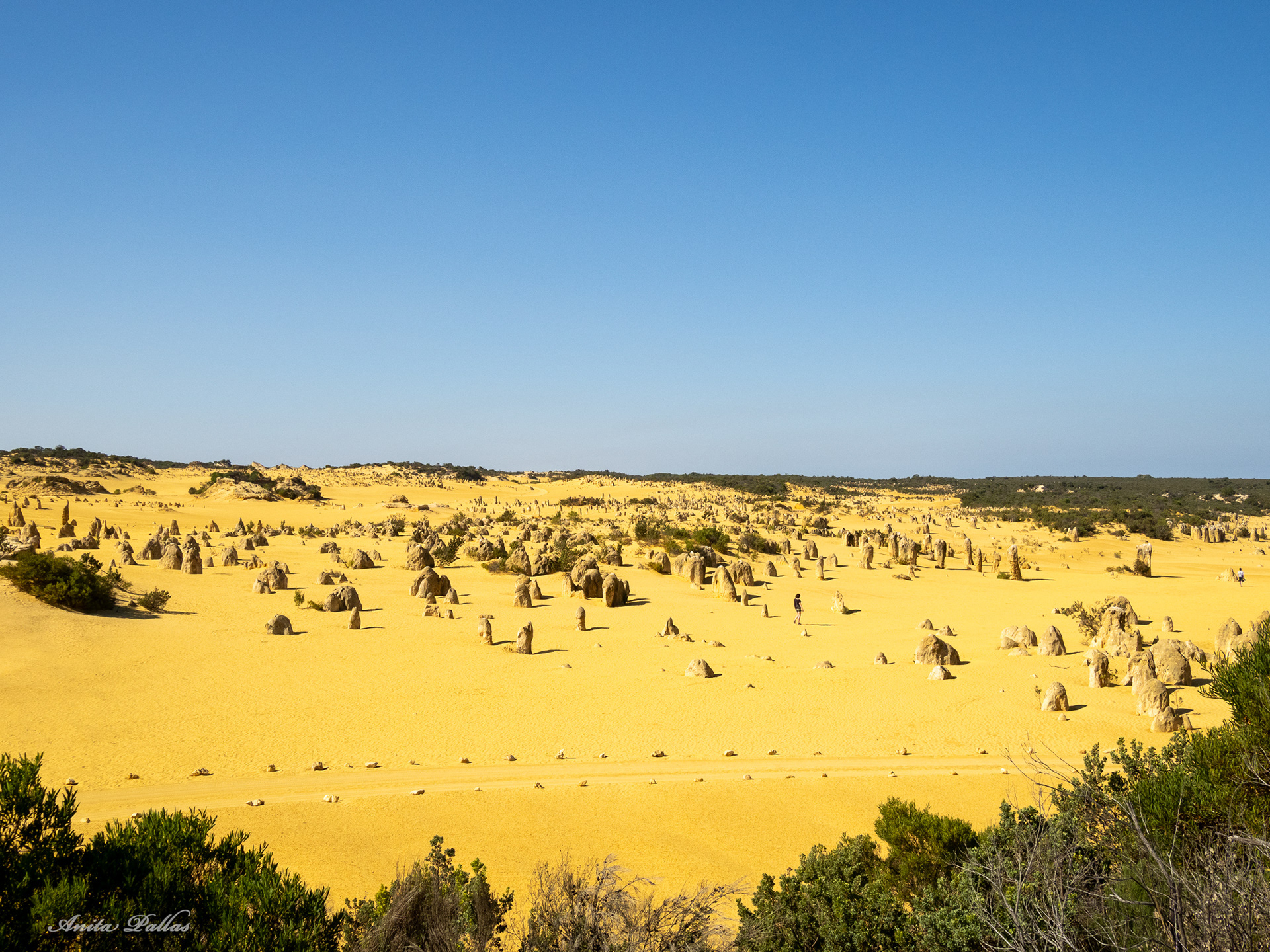 The Pinnacles