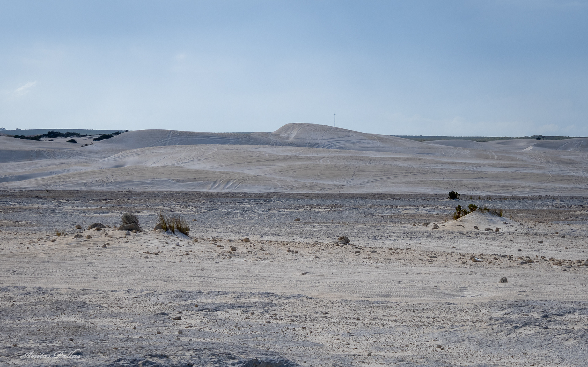 Lancelin Sand Dunes