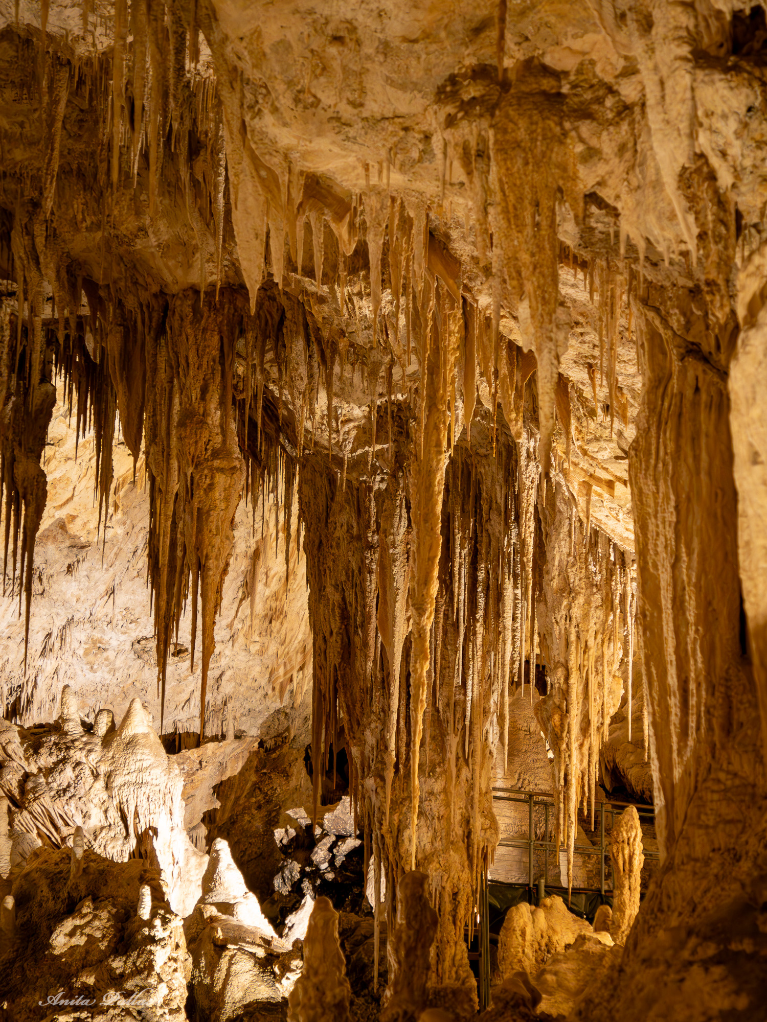 Mammoth Cave