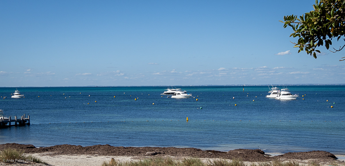 Rottnest Island
