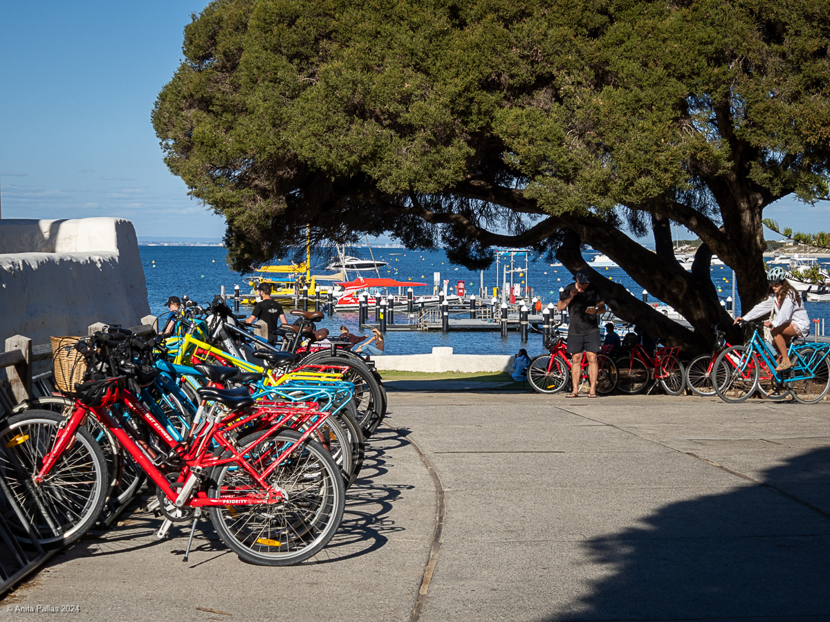 Rottnest Island