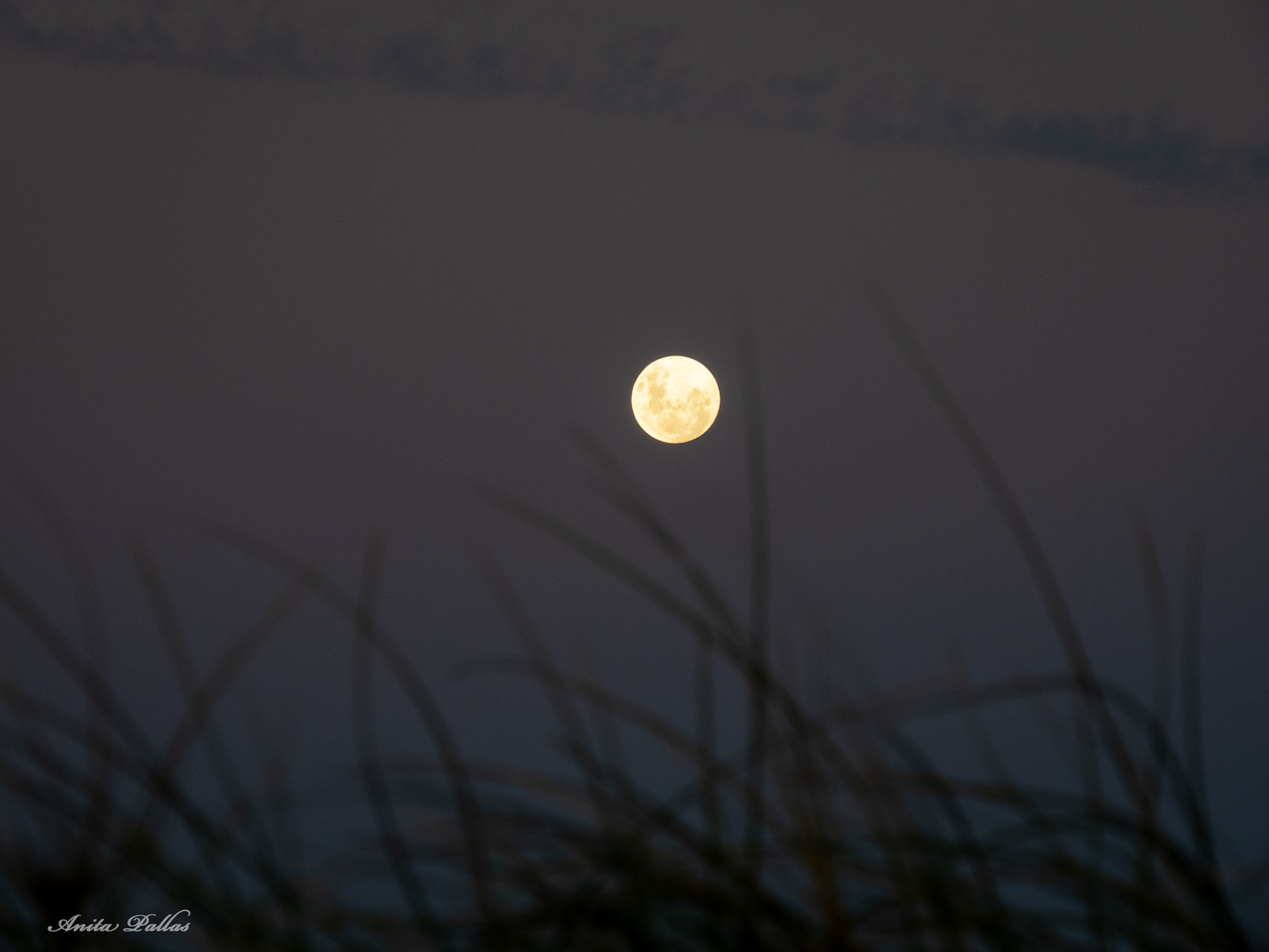 Jurien Bay