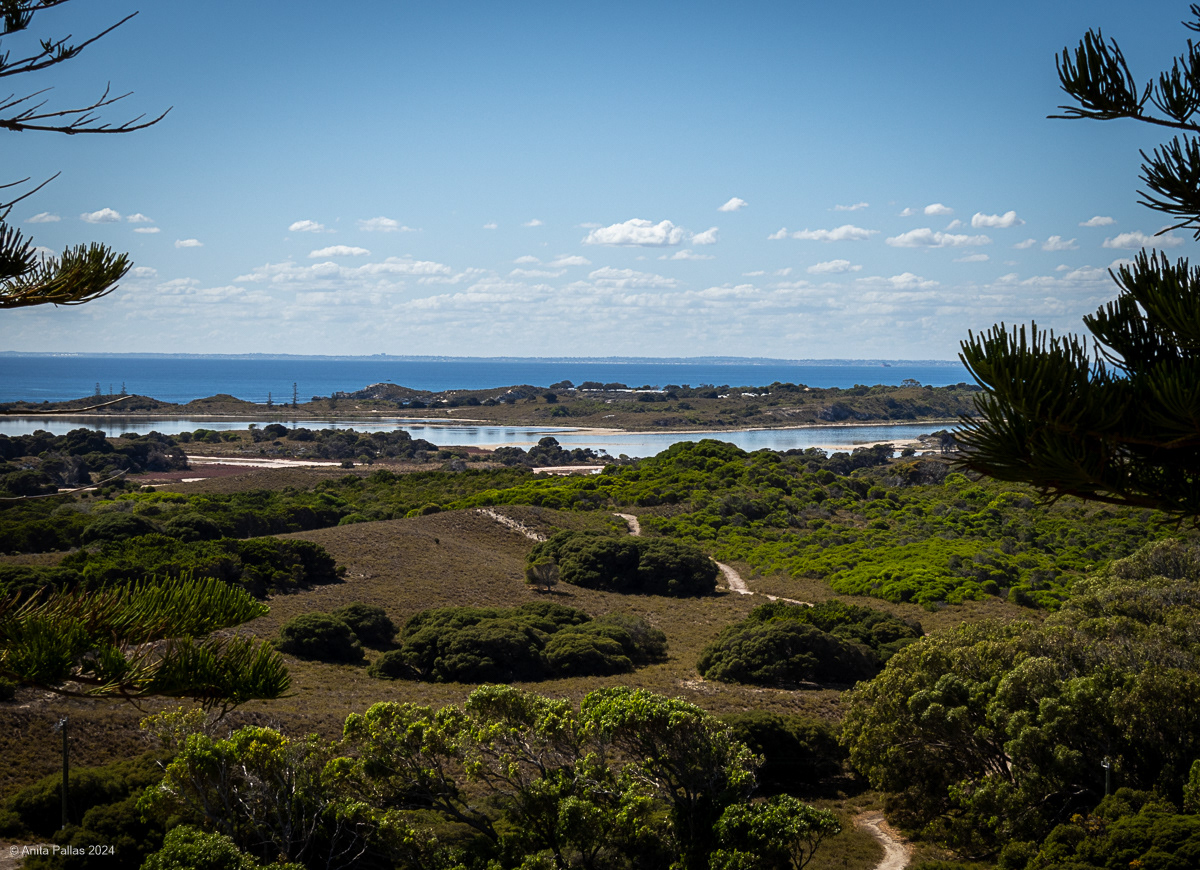 Rottnest Island