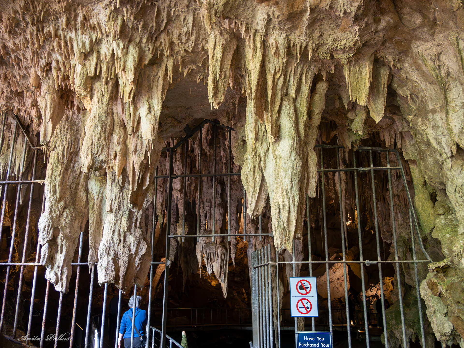 Mammoth Cave