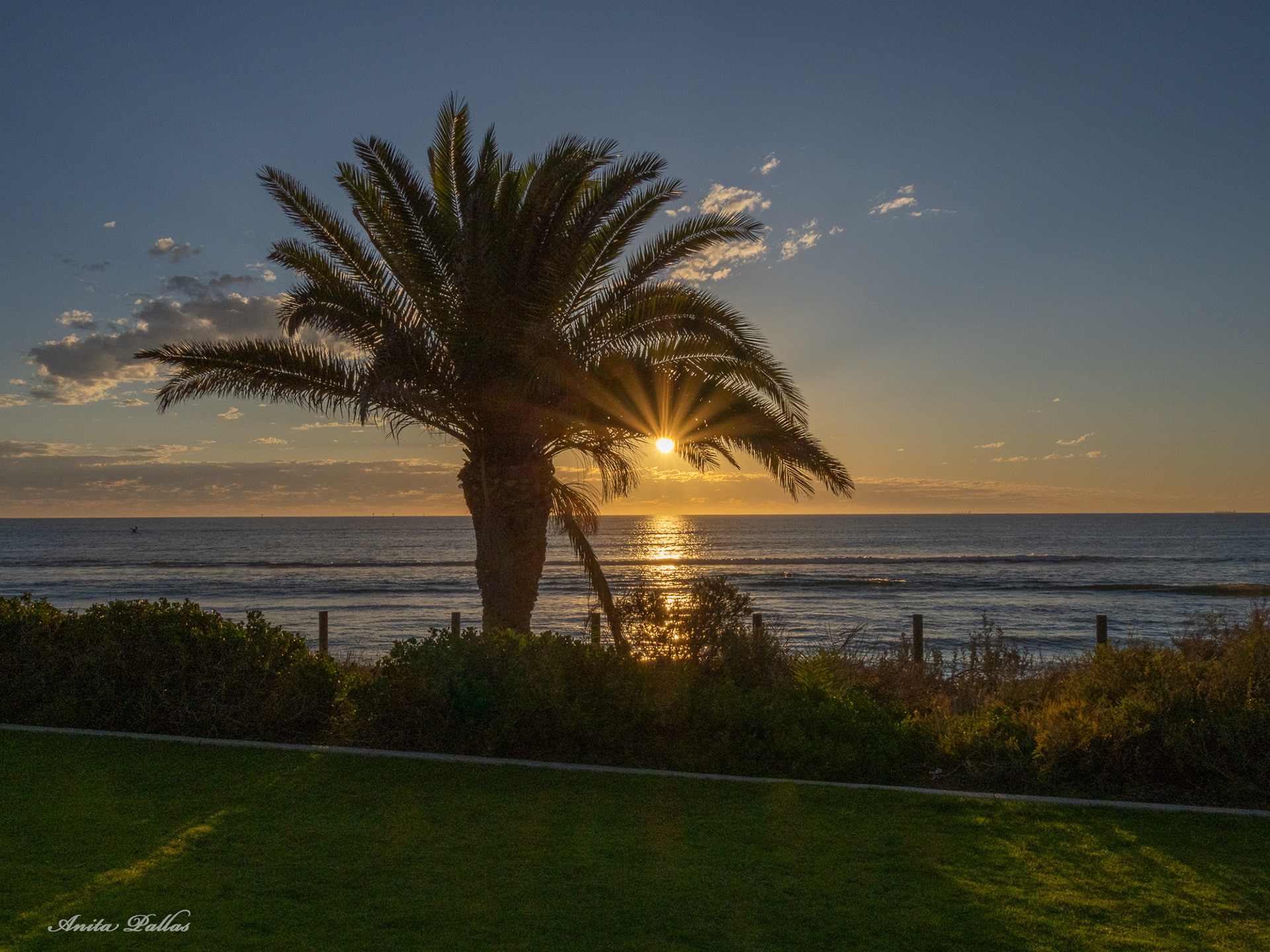 The Horizon Ball, Geraldton