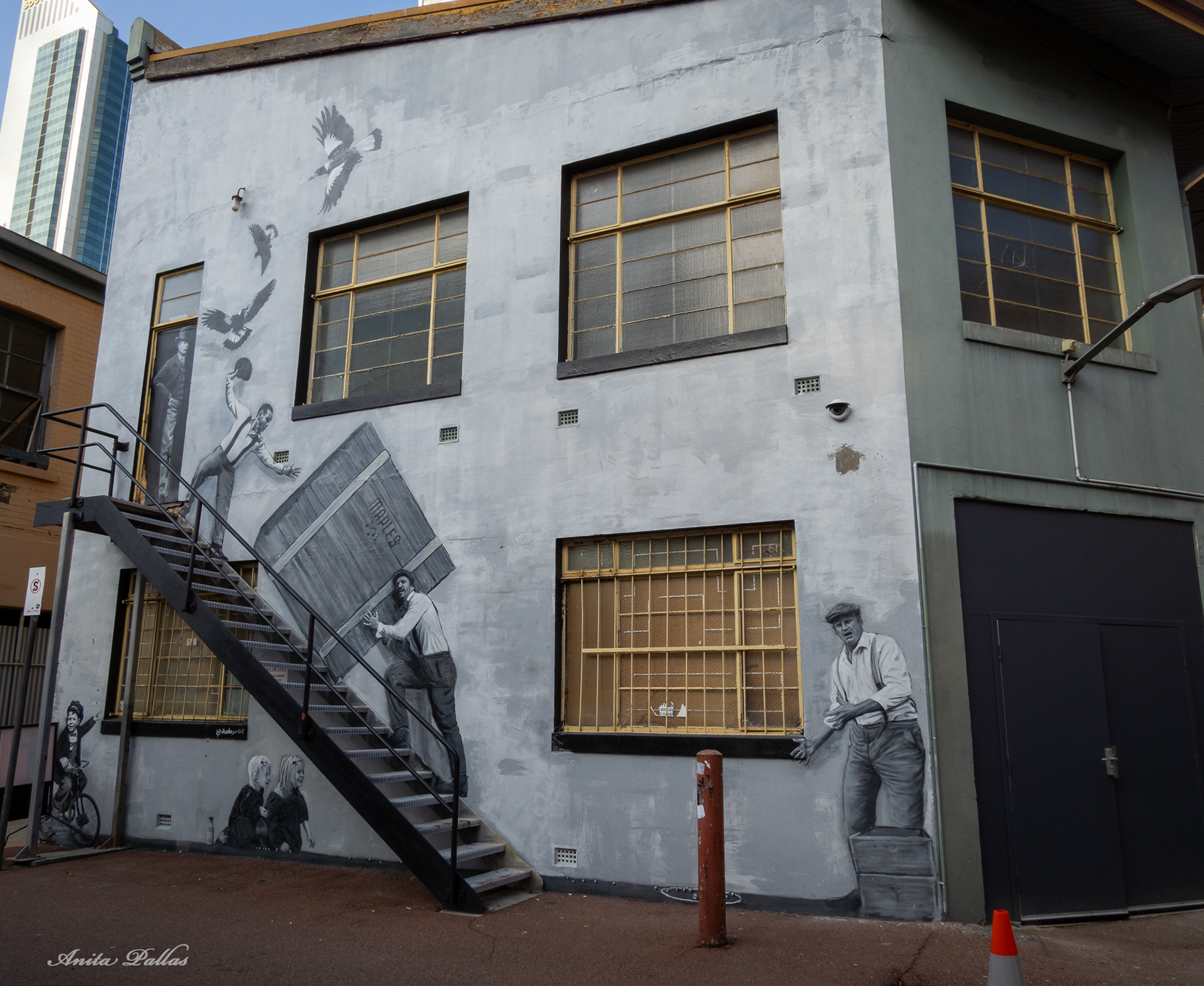 Wolf Lane, Perth