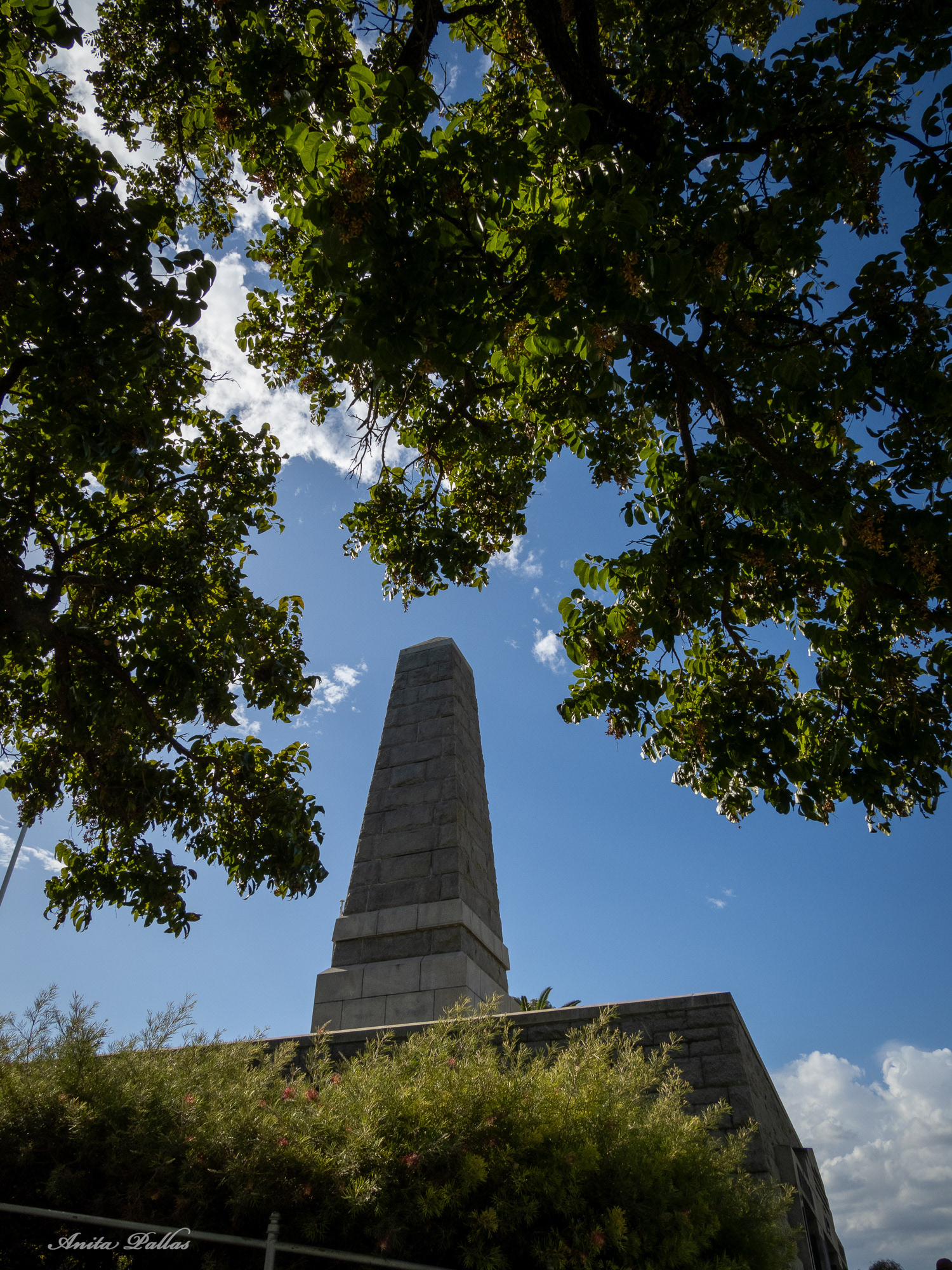 Perth - Kings Park & Botanic Gardens