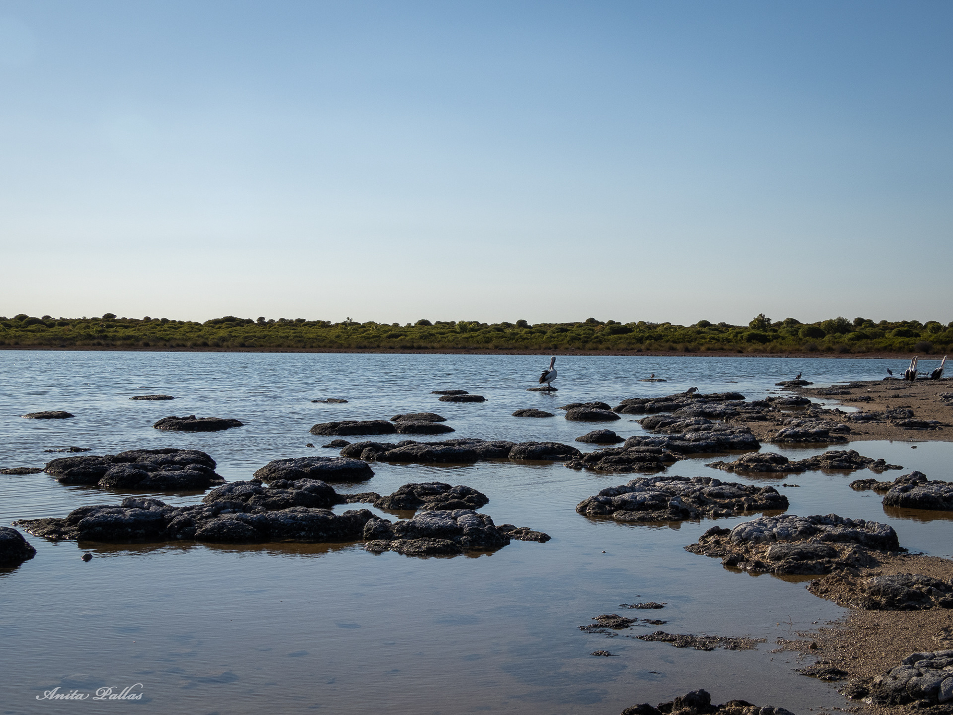 Lake Thetis