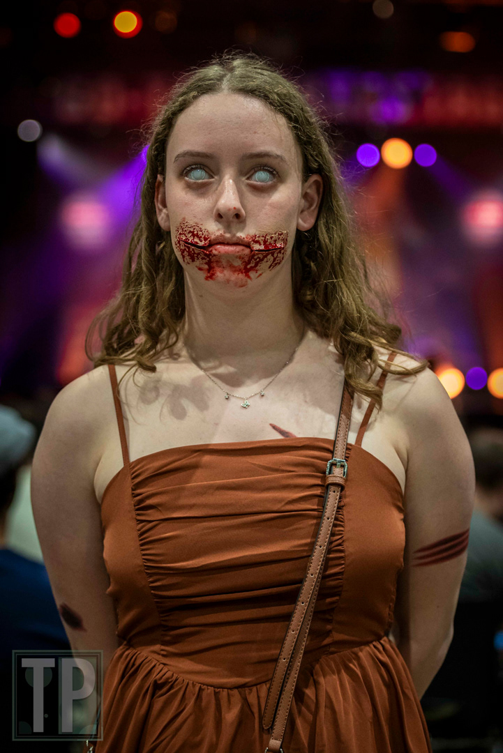 Heroes Dutch Comic Con - Summer 2024.
