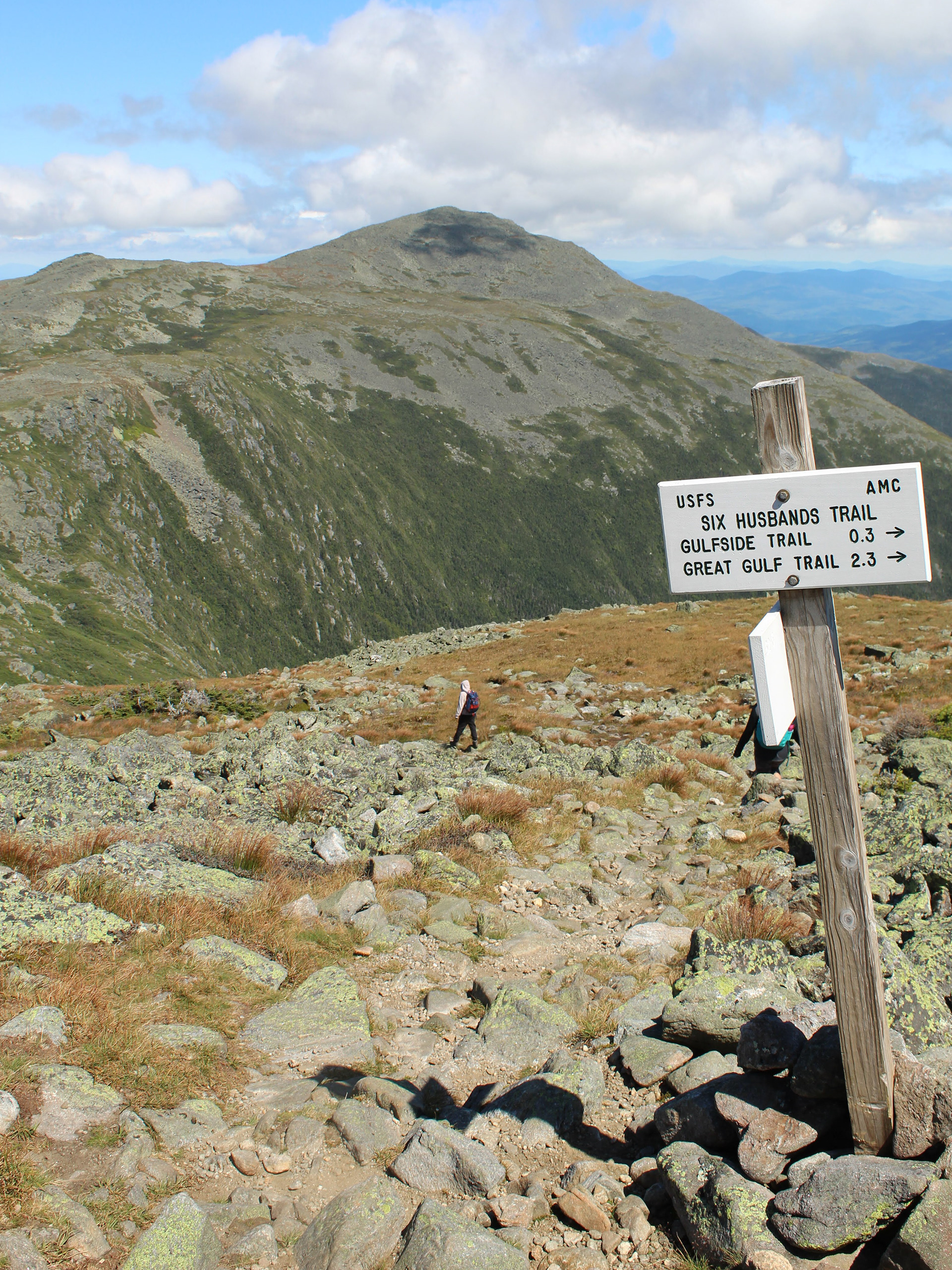 The Northern Presidentials