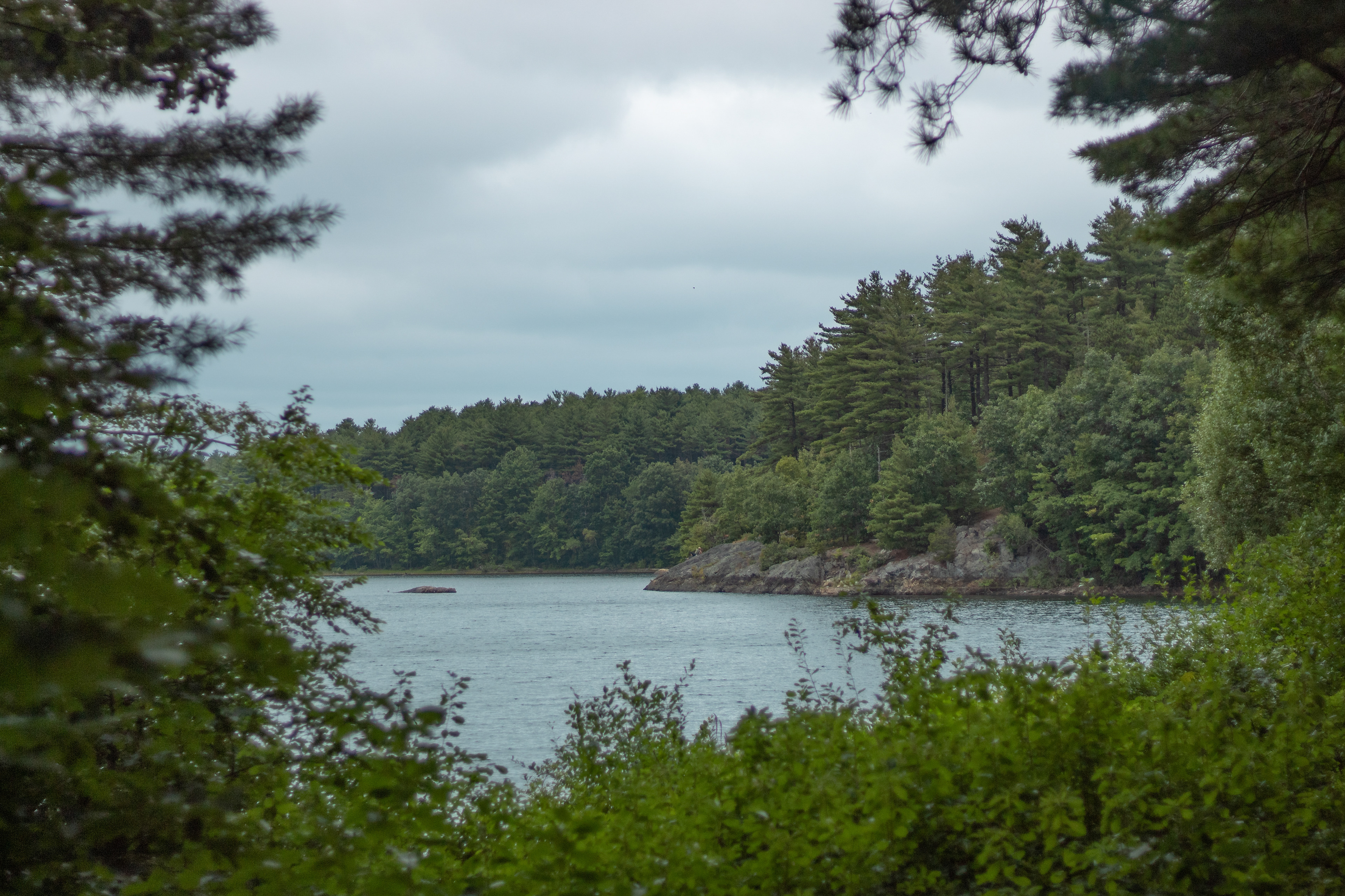 The Middlesex Fells, Somerville MA