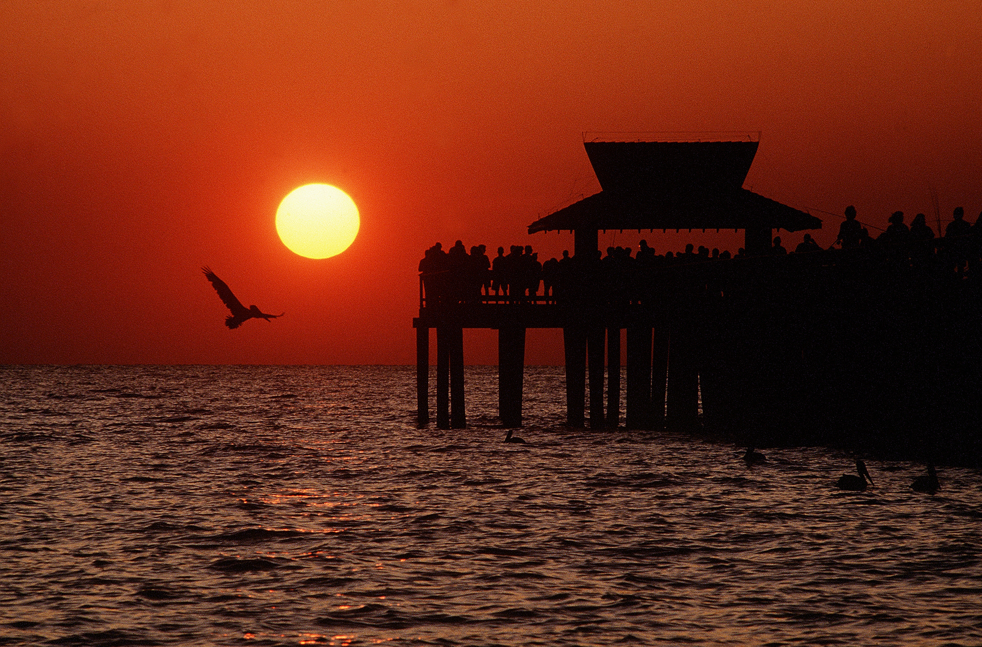 Naples, Fla.