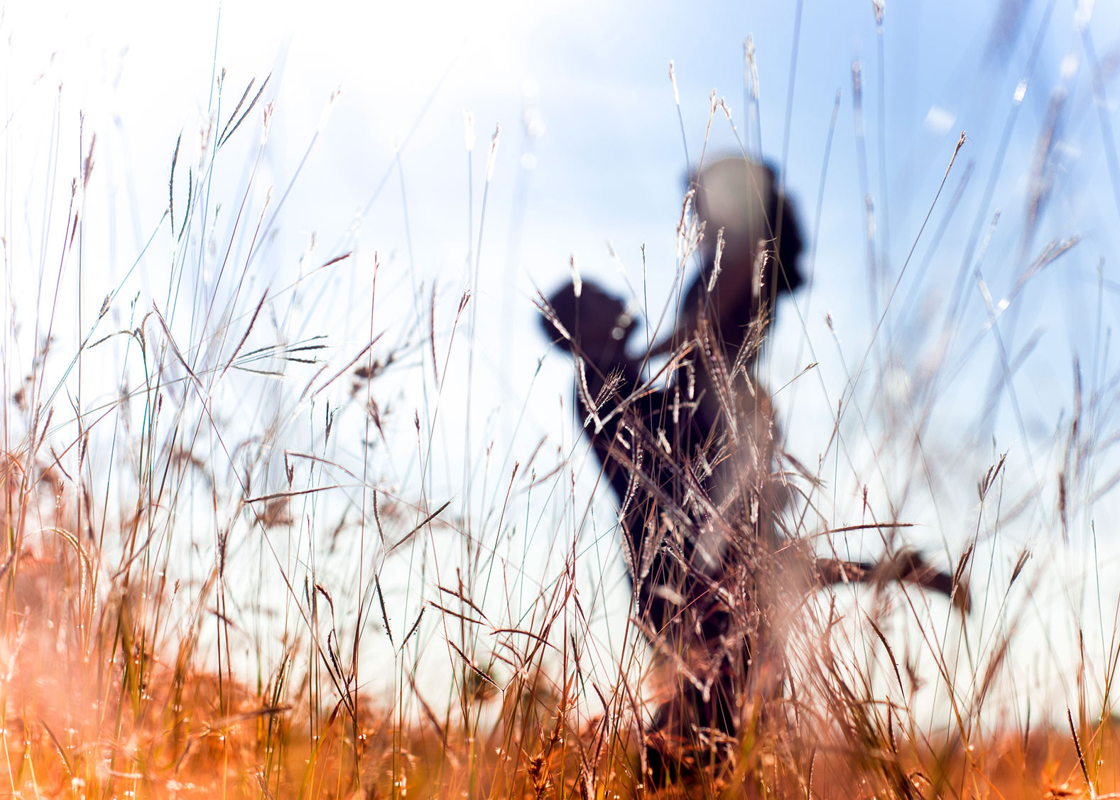 Pre Wedding Photography