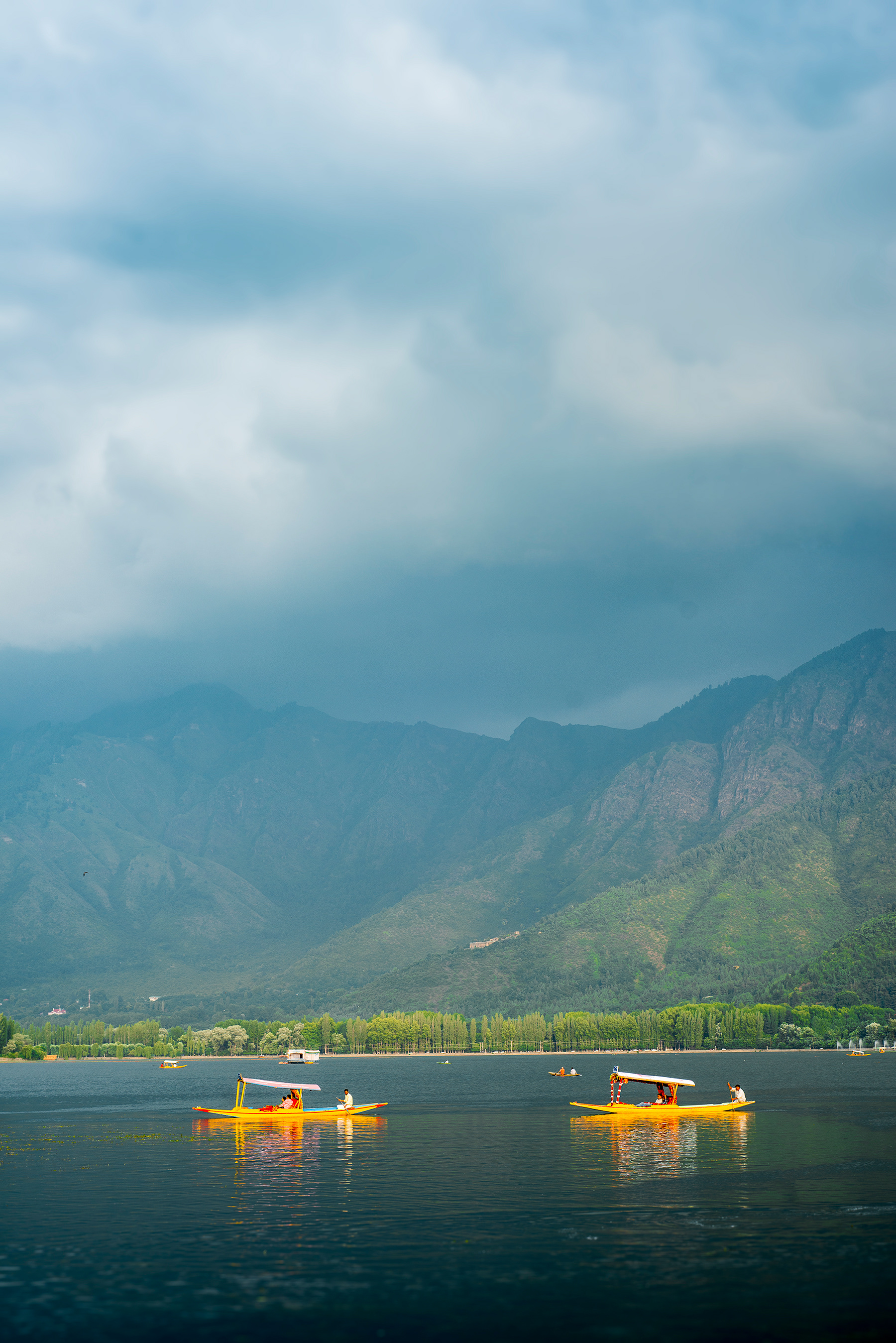 Dal Lake, Kashmir, India