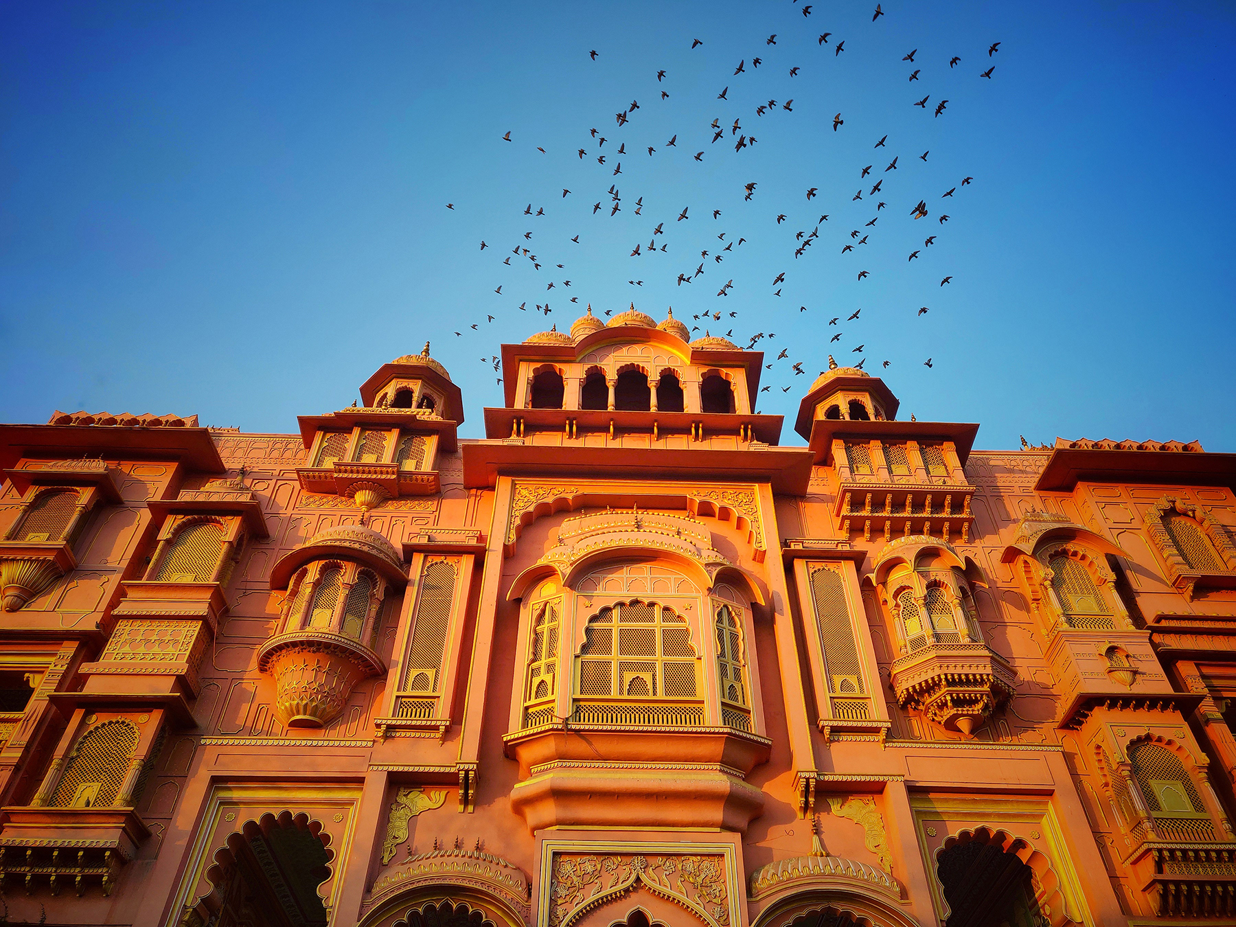 Jaipur, Rajasthan
