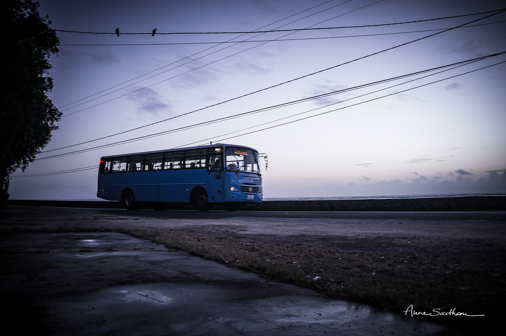 Tata bus