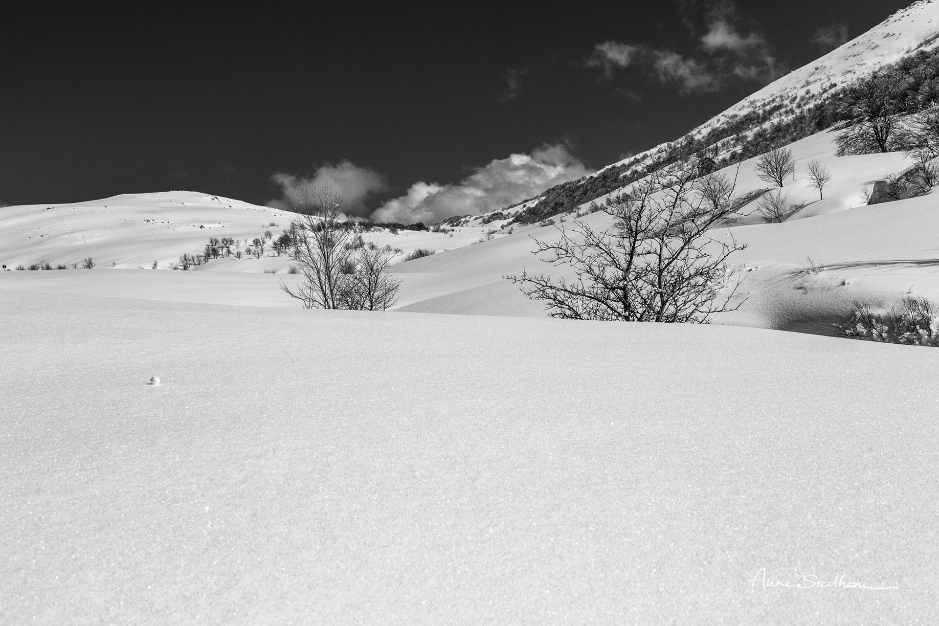 Boule de neige