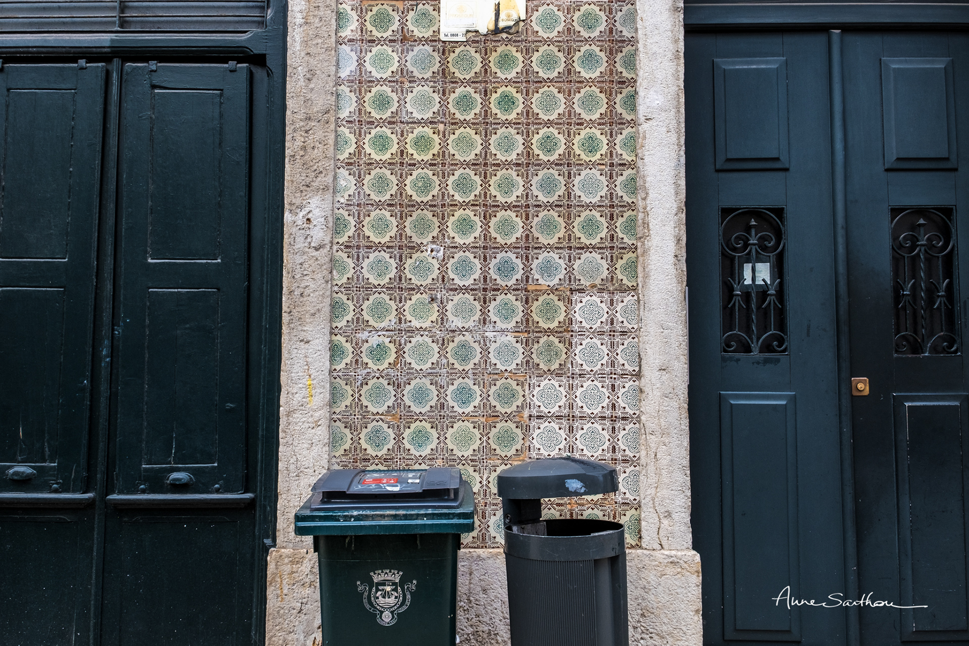 Nuances de vert