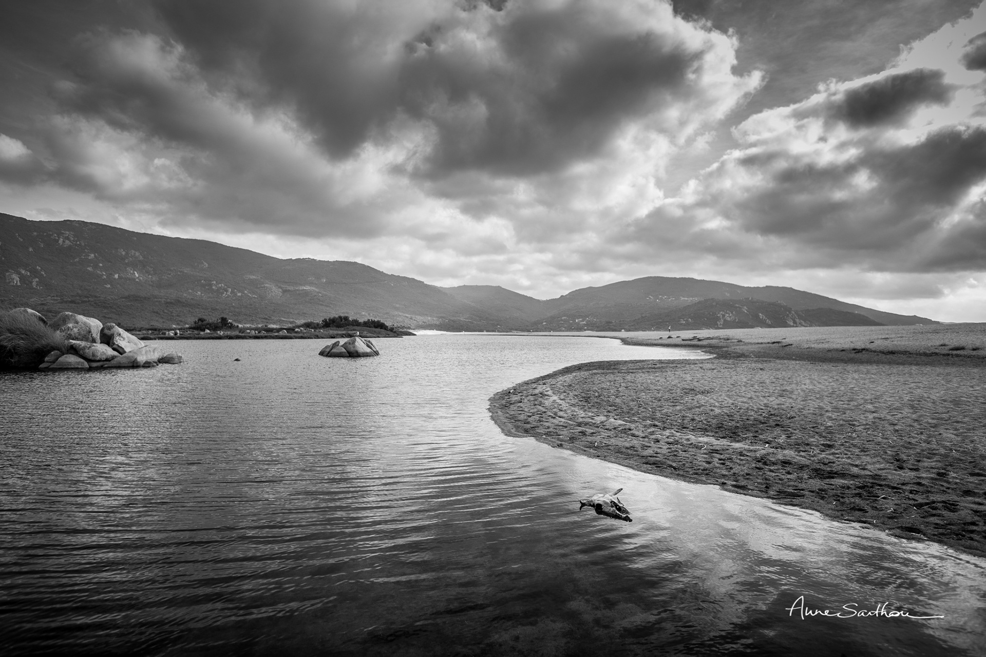 Le crâne dans l'eau