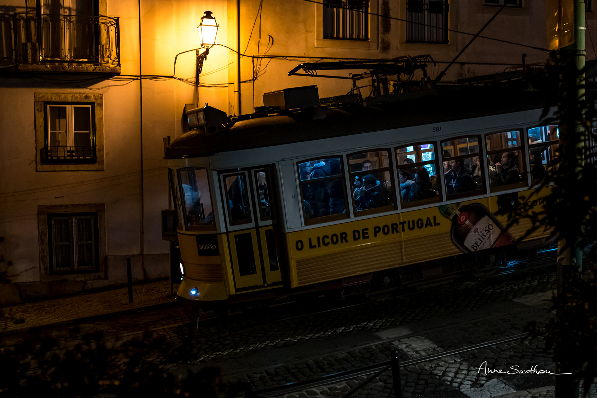 O licor de Portugal
