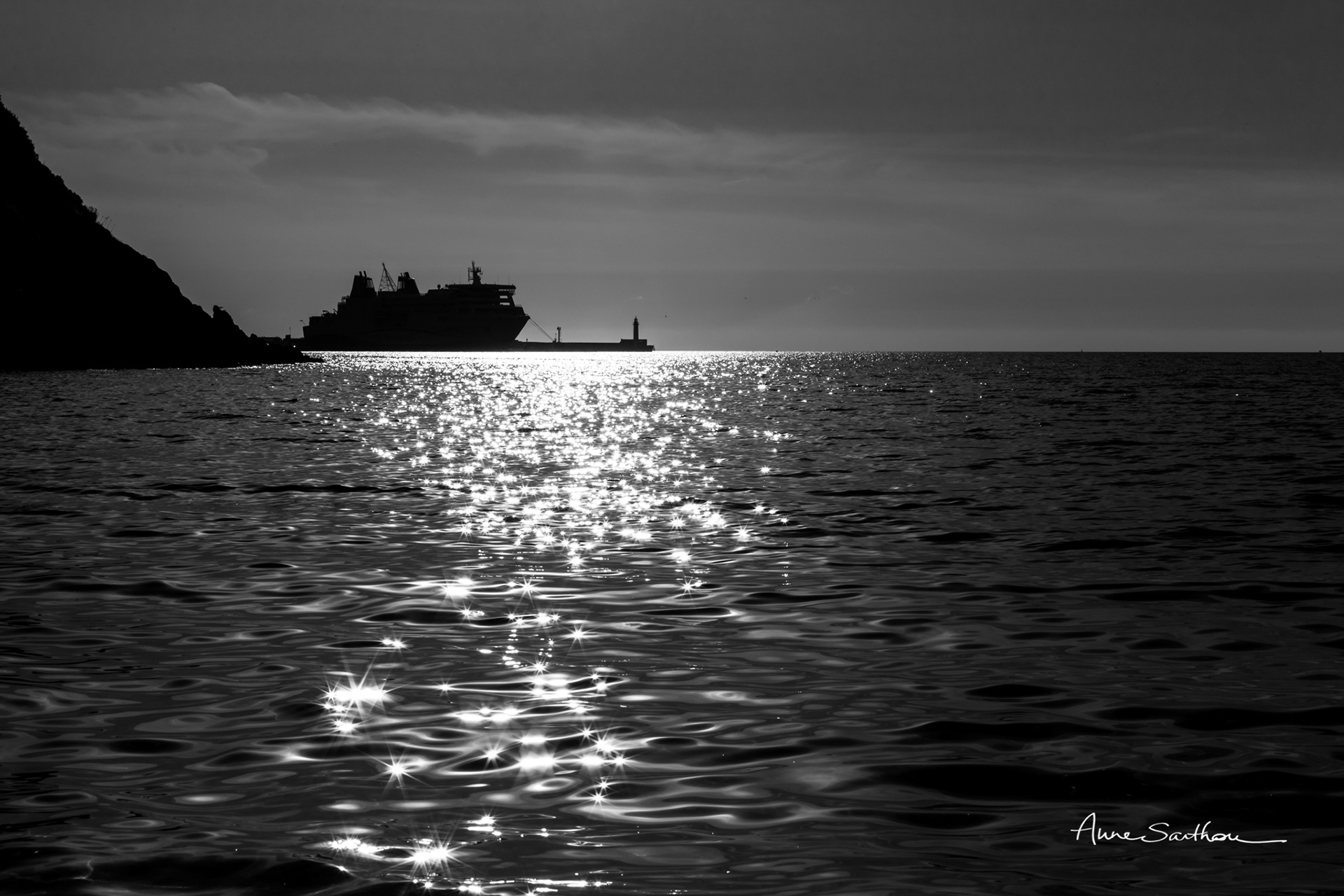 Etoiles de mer