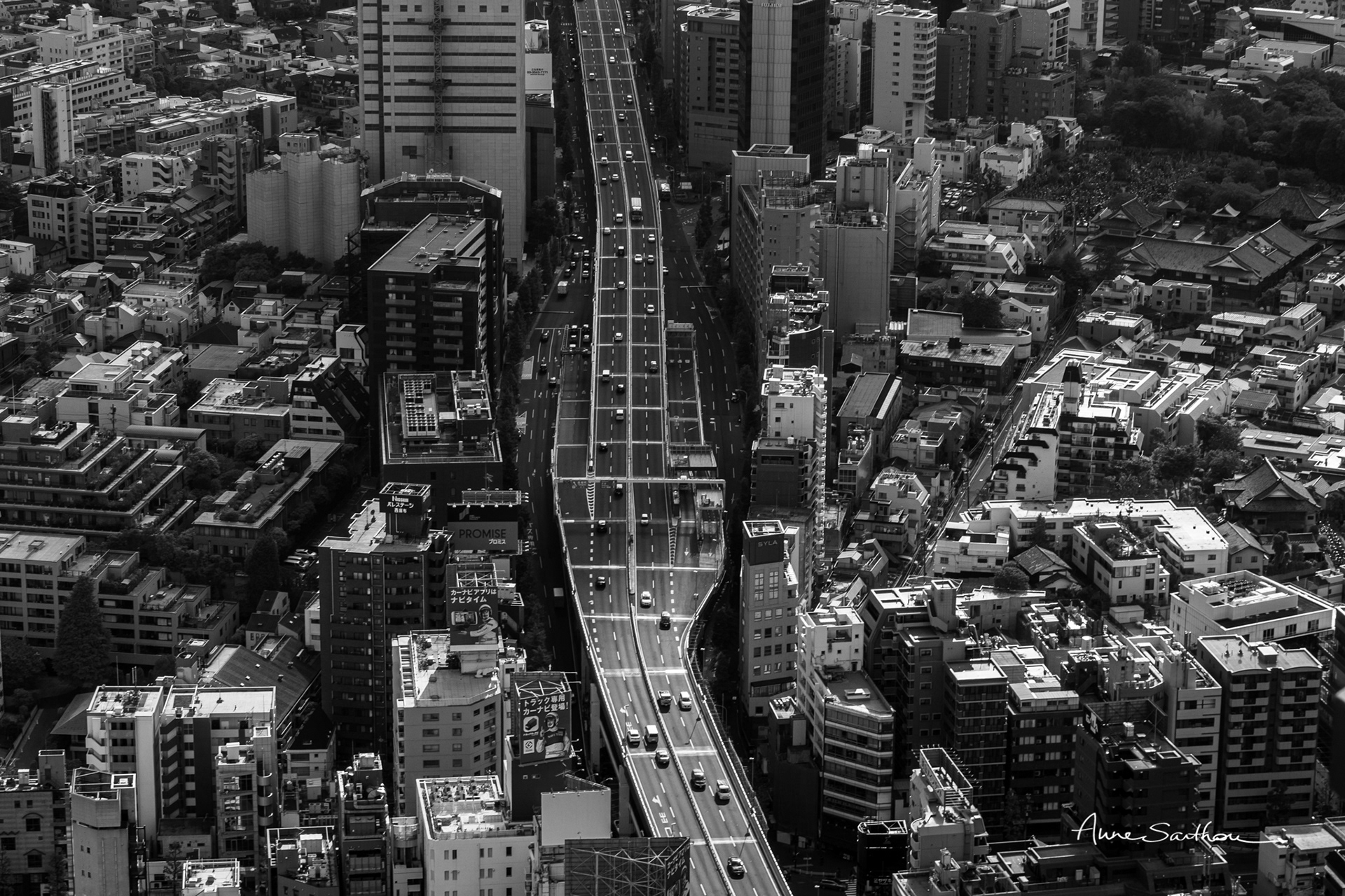 Périph tokyoïte