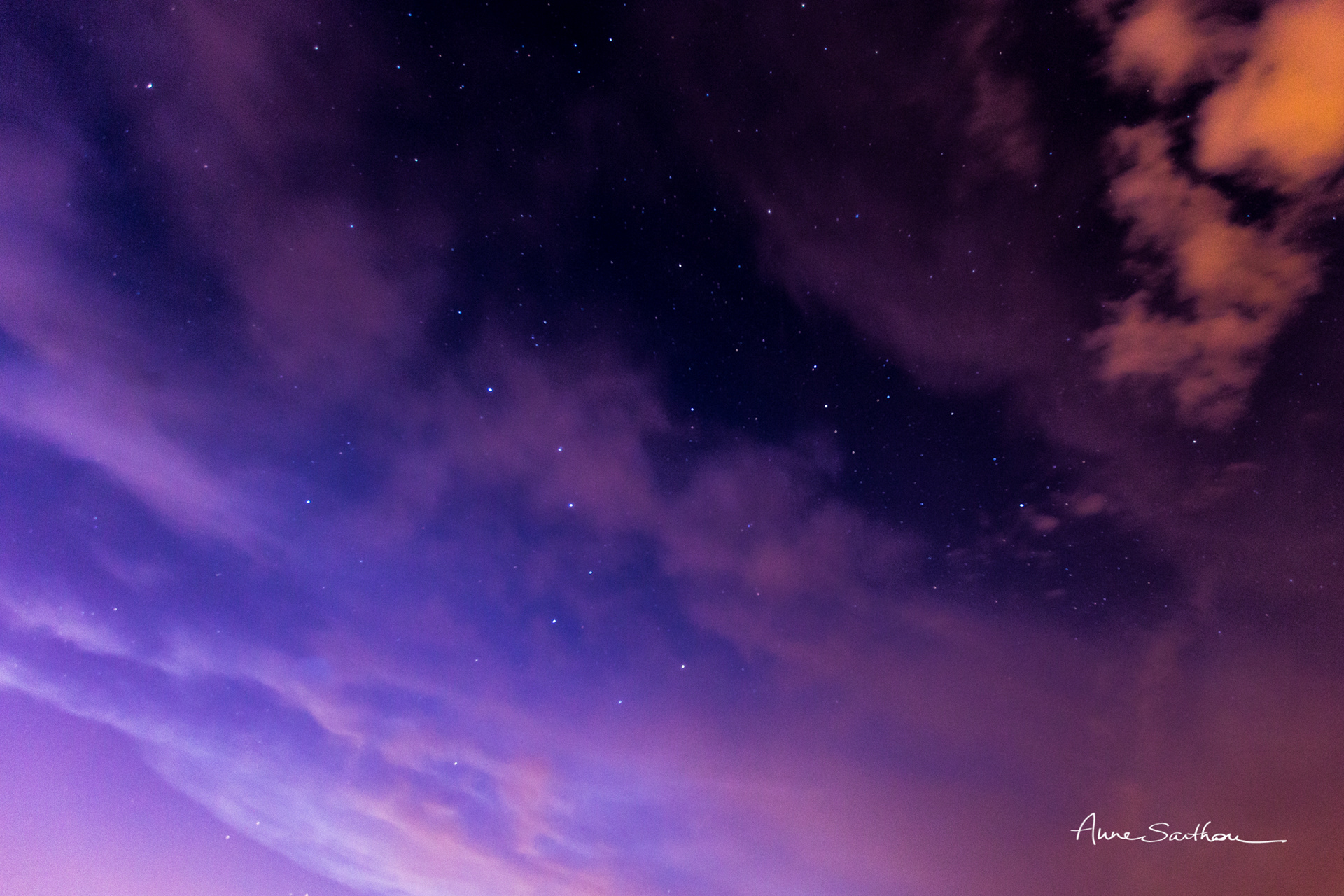 Purple night