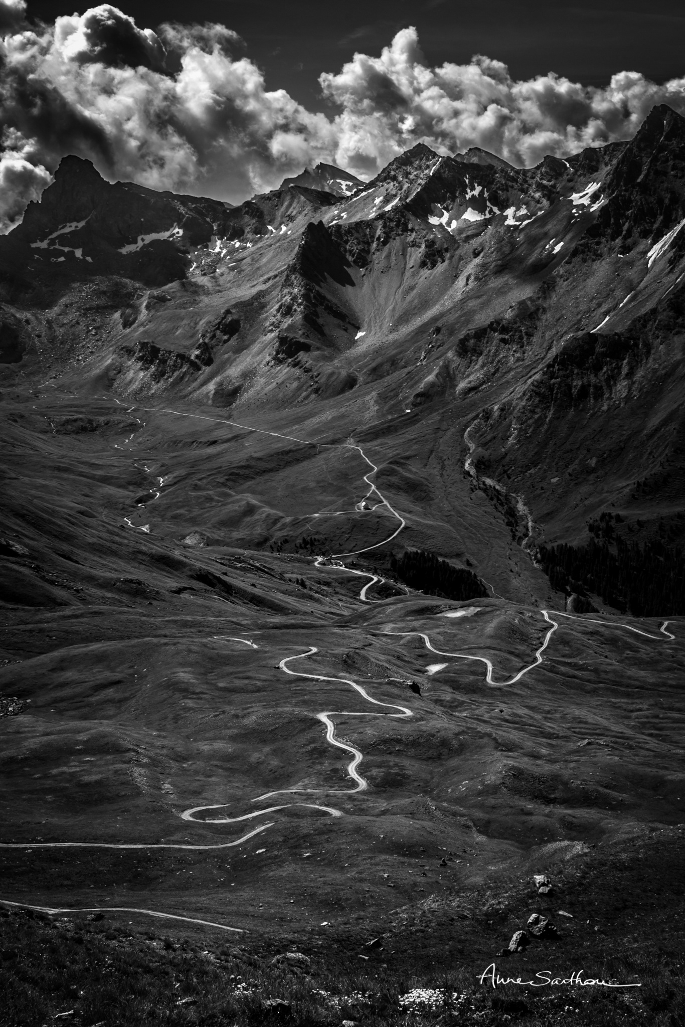 Lacets (Ed. limitée)