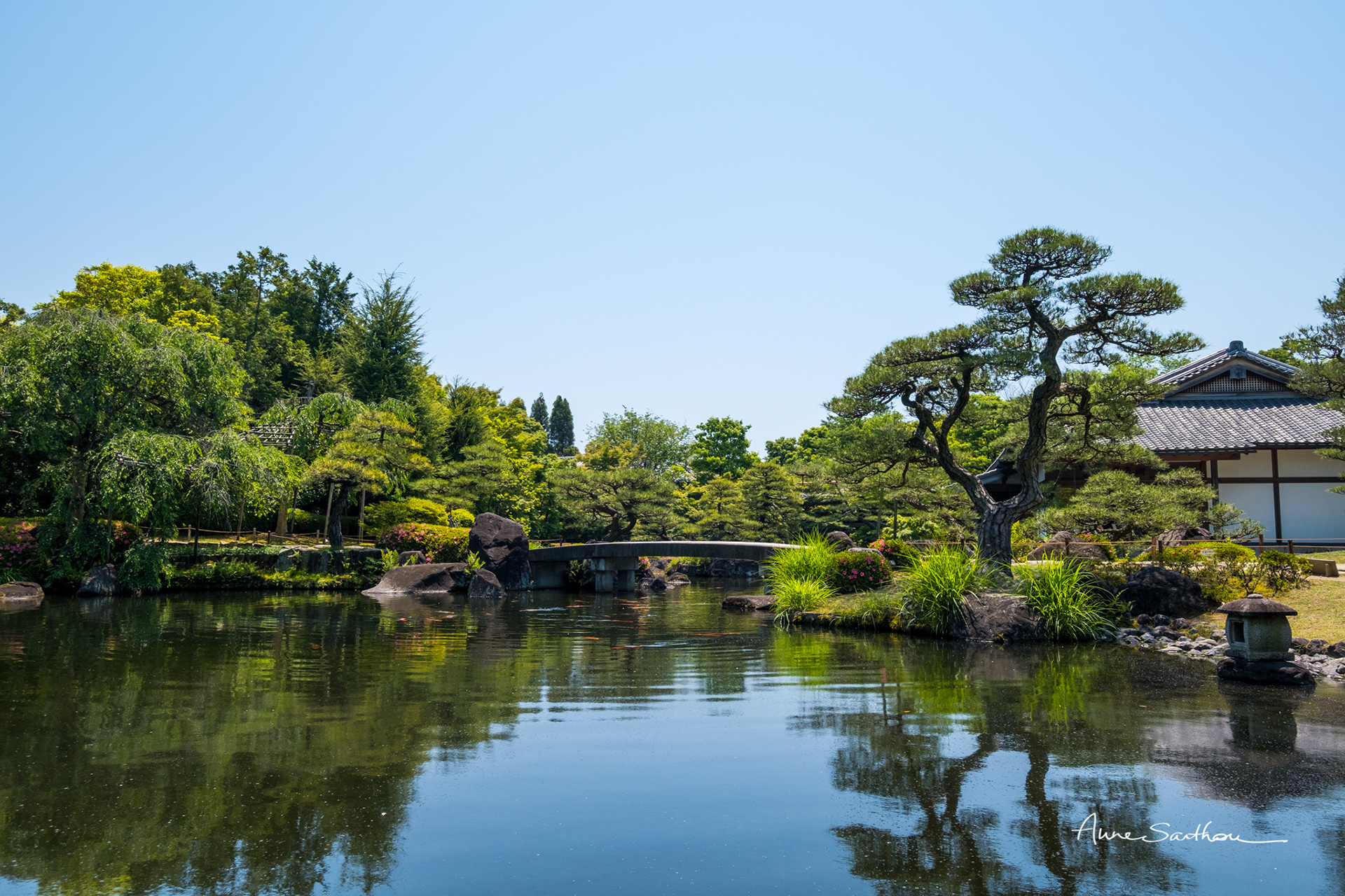 Un pont dans un jardin