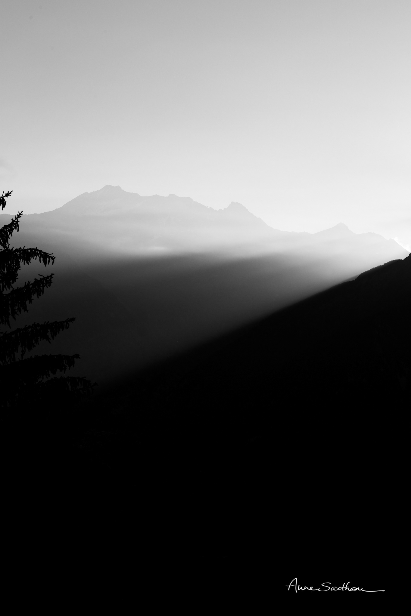 Rayons.jpg