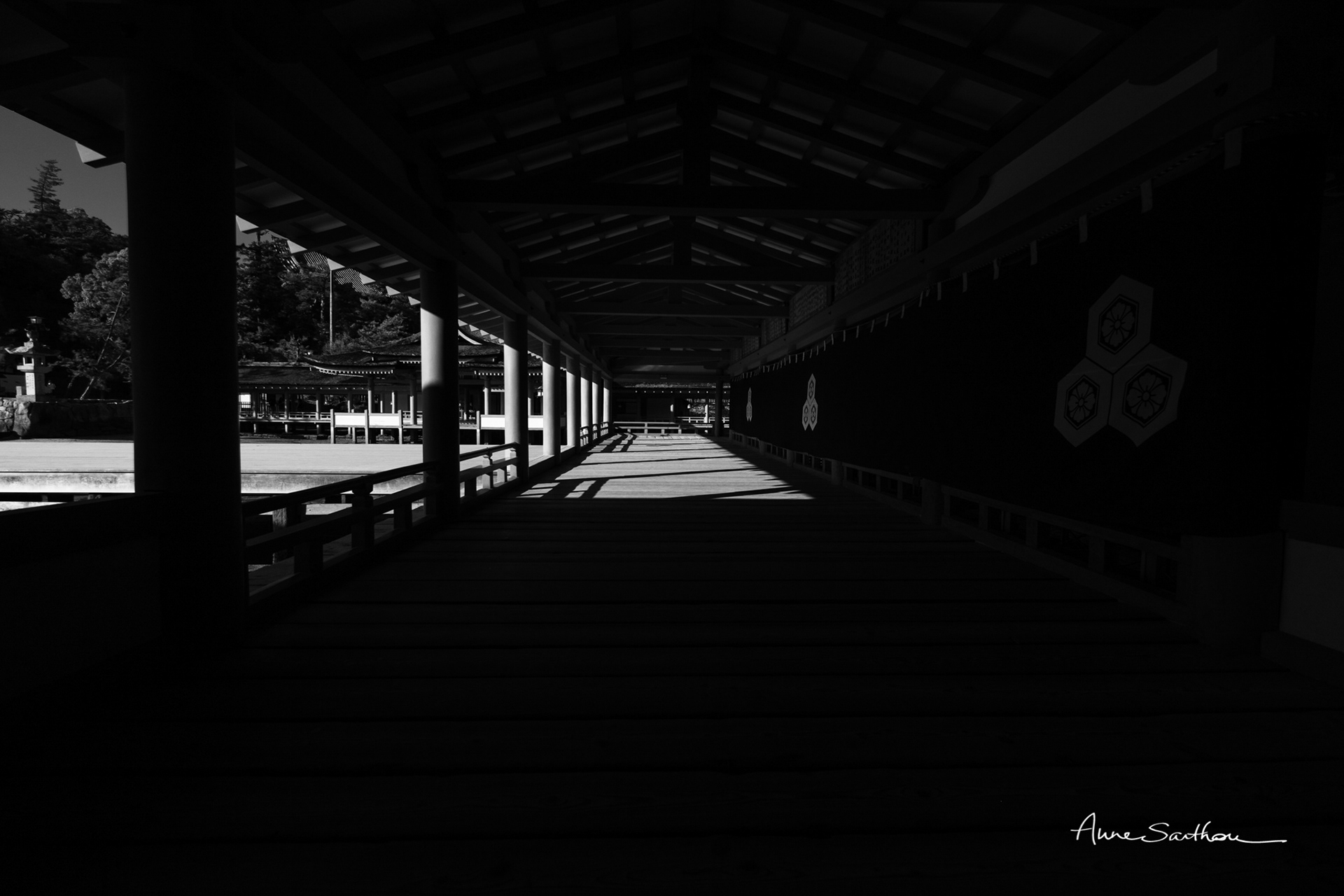Quelques ombres