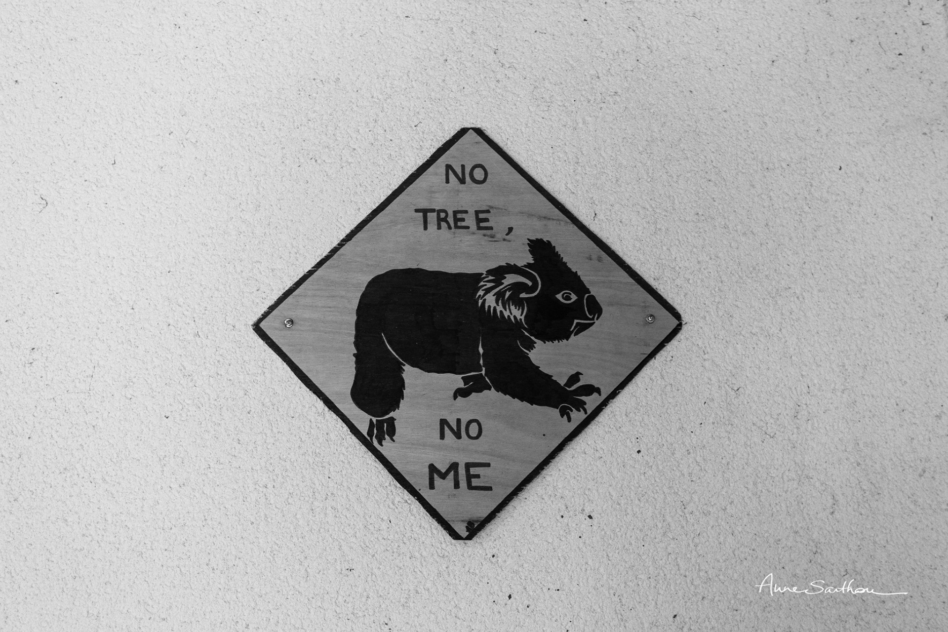 No tree, no me