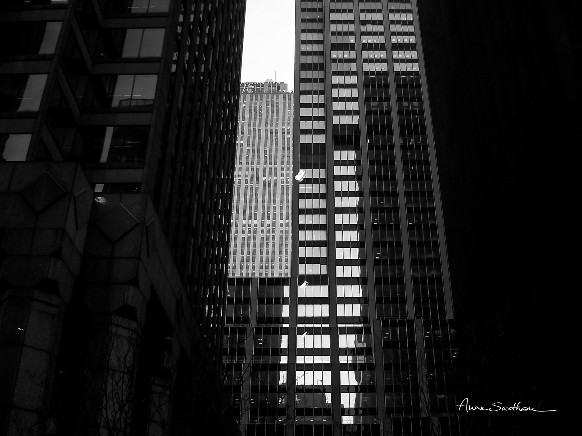 Cages de verre
