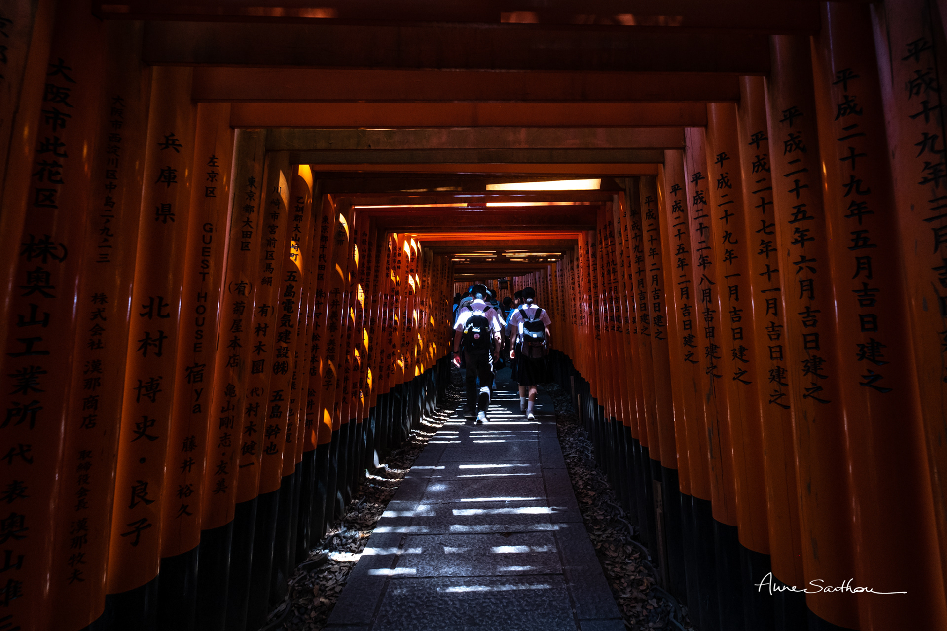 Sous les torii