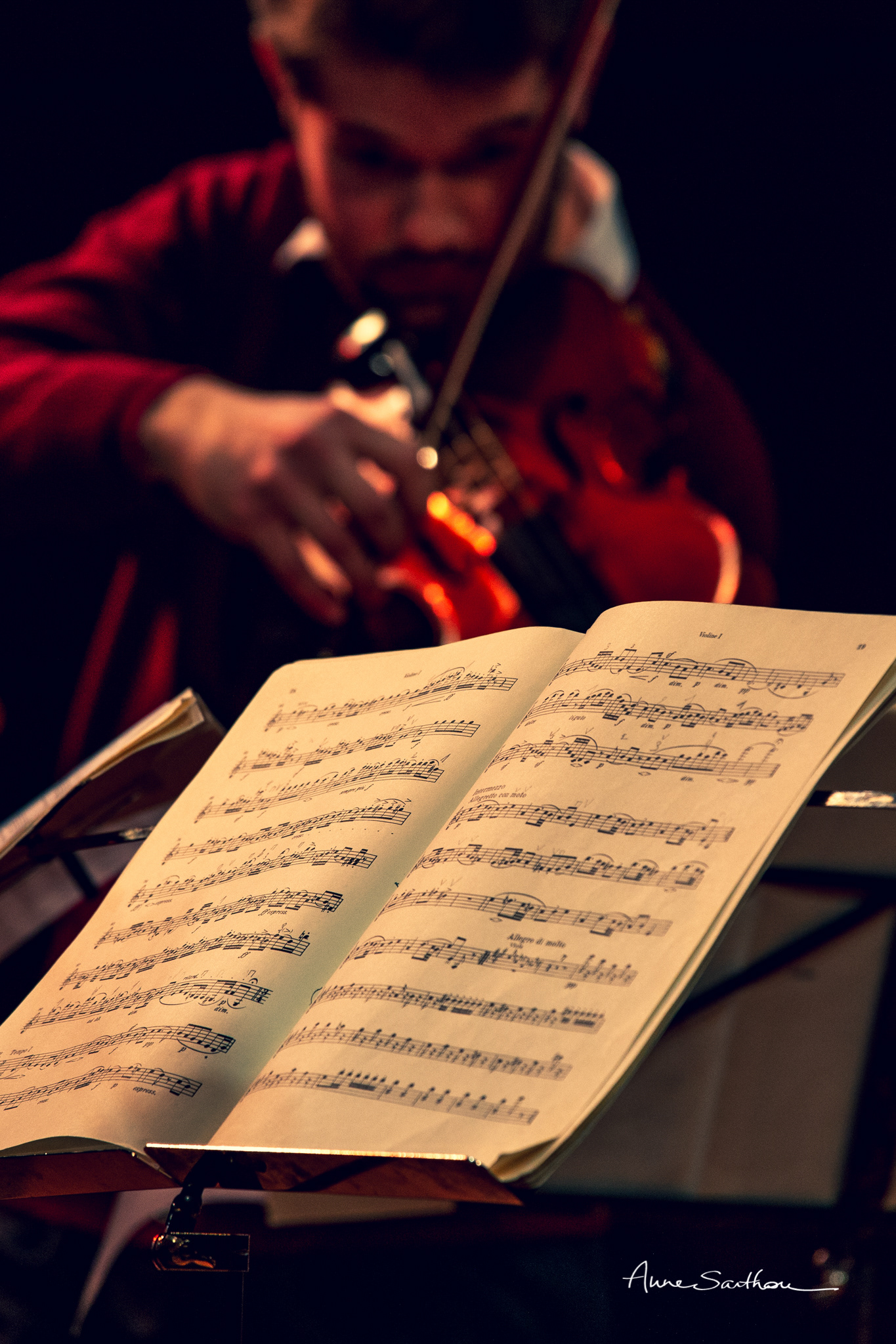 La partition et le violoniste