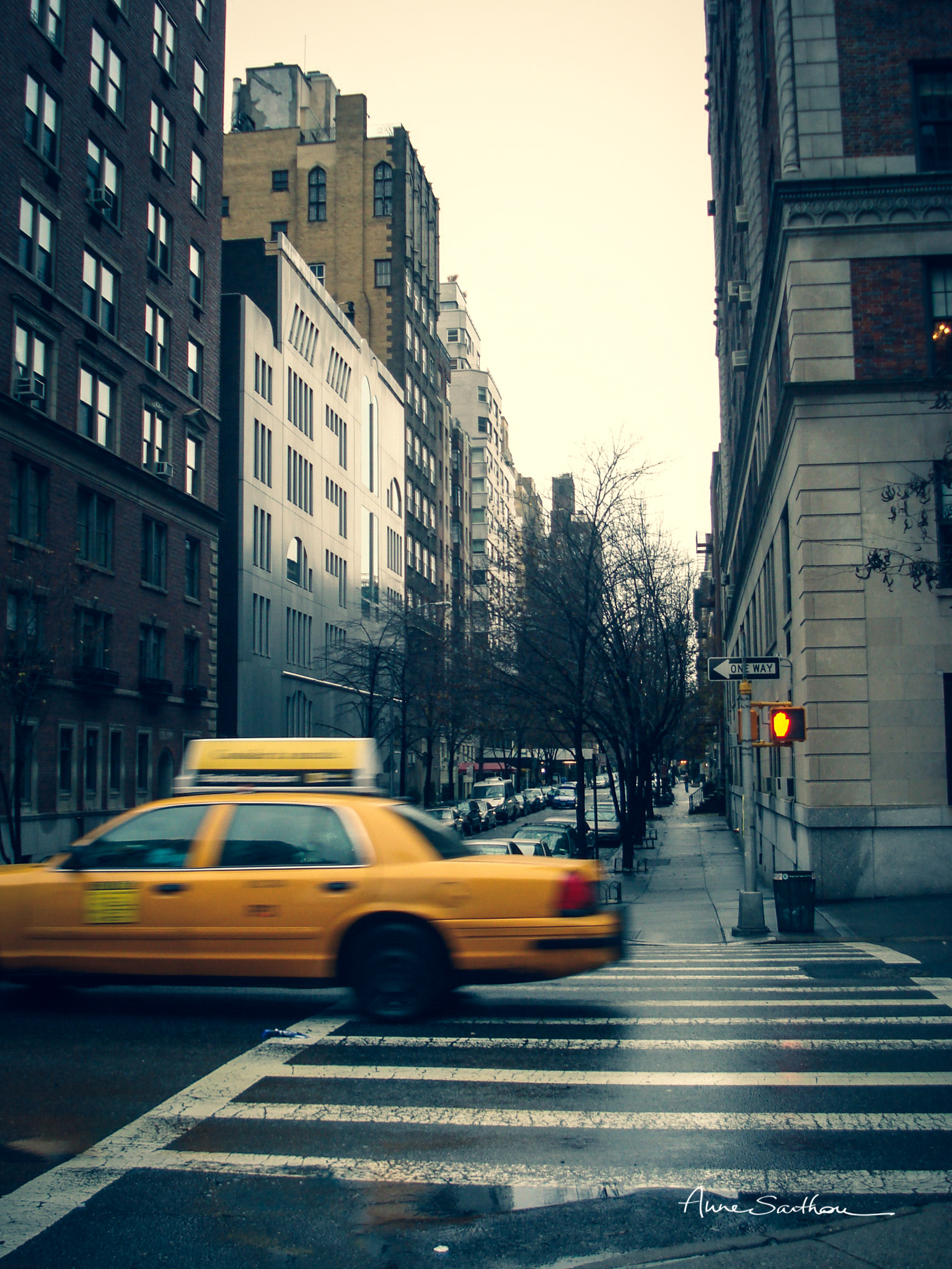 Do not cross (New York, USA)