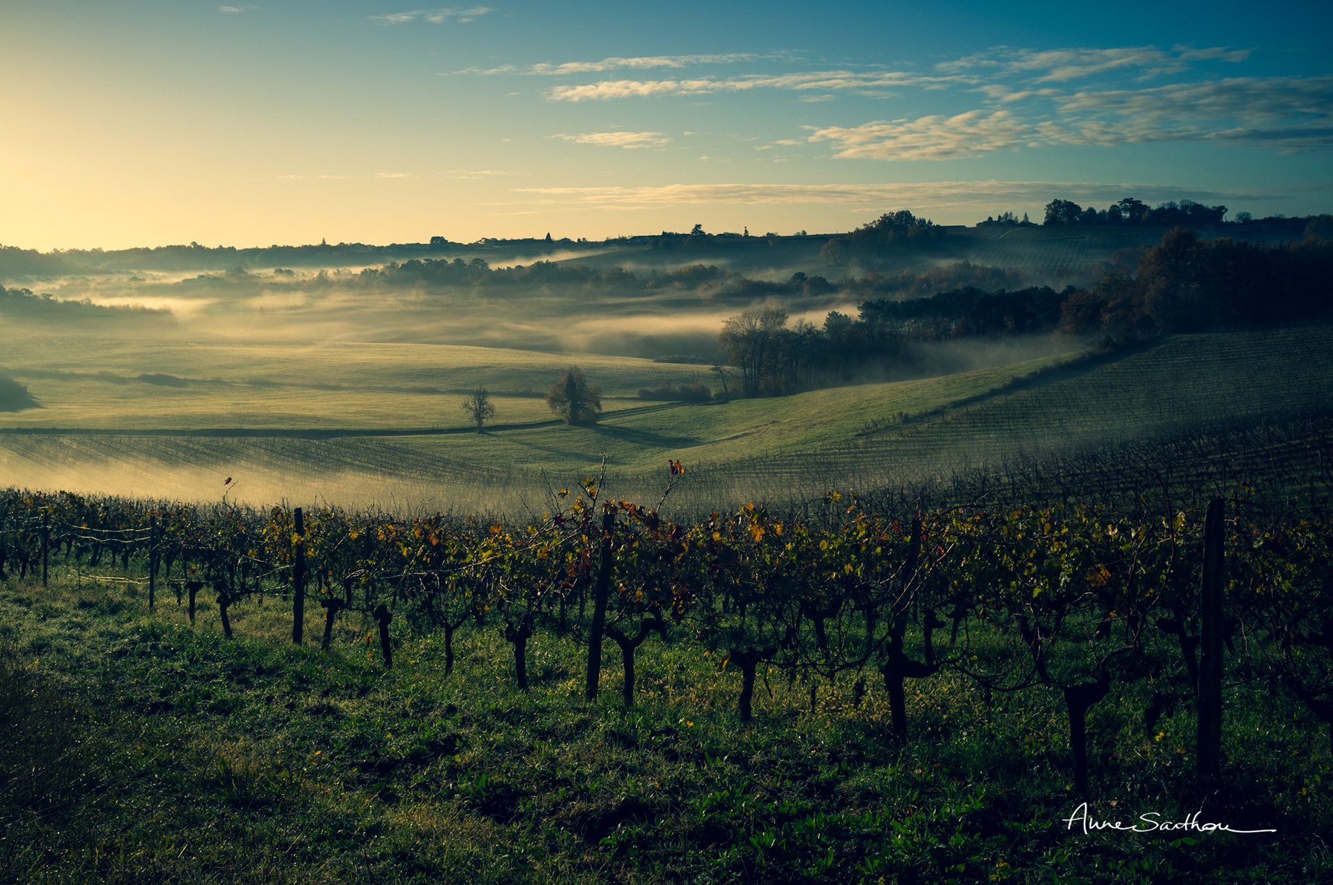 Brume de Gironde (Ed. limitée)