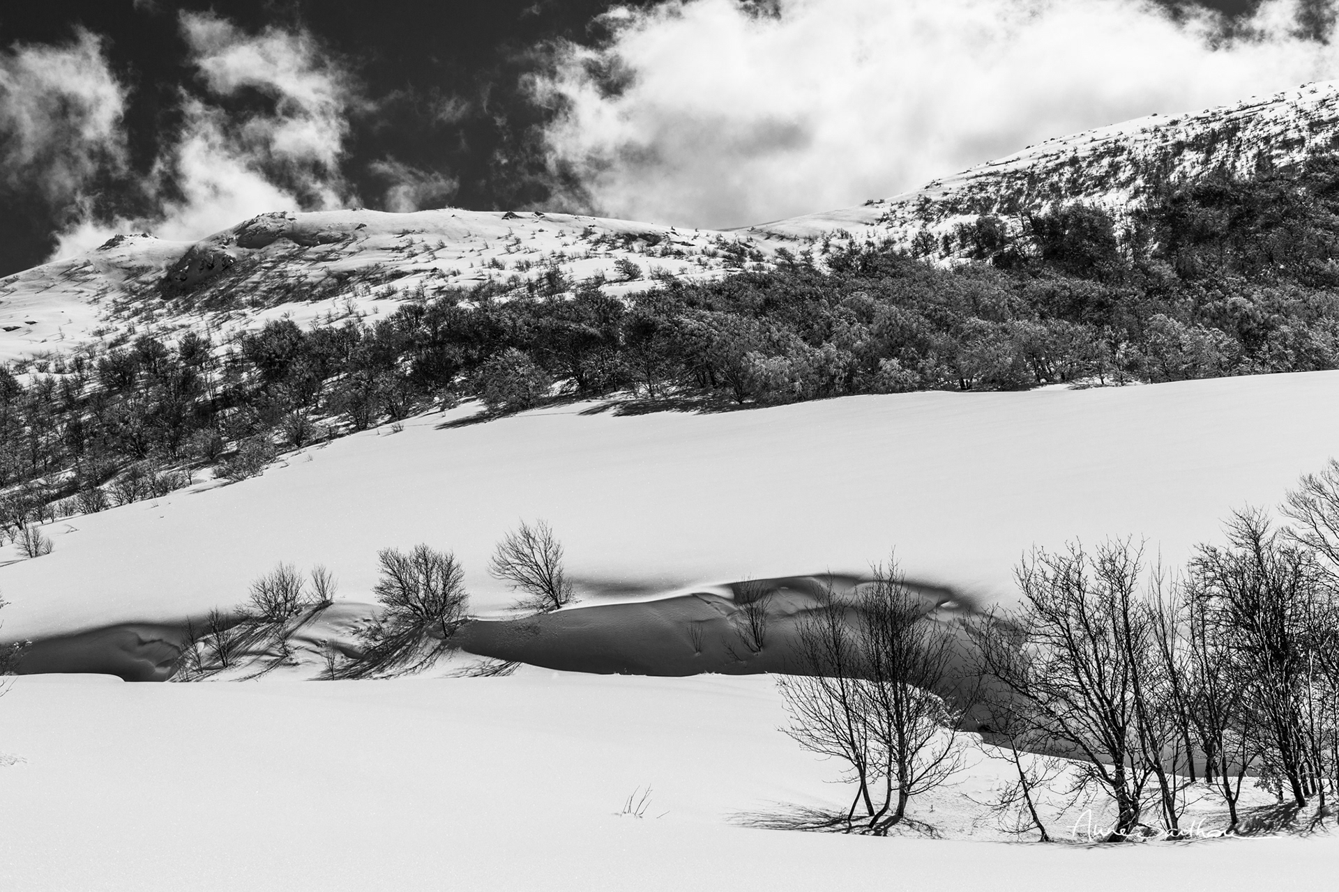 Val d'Ese enneigé