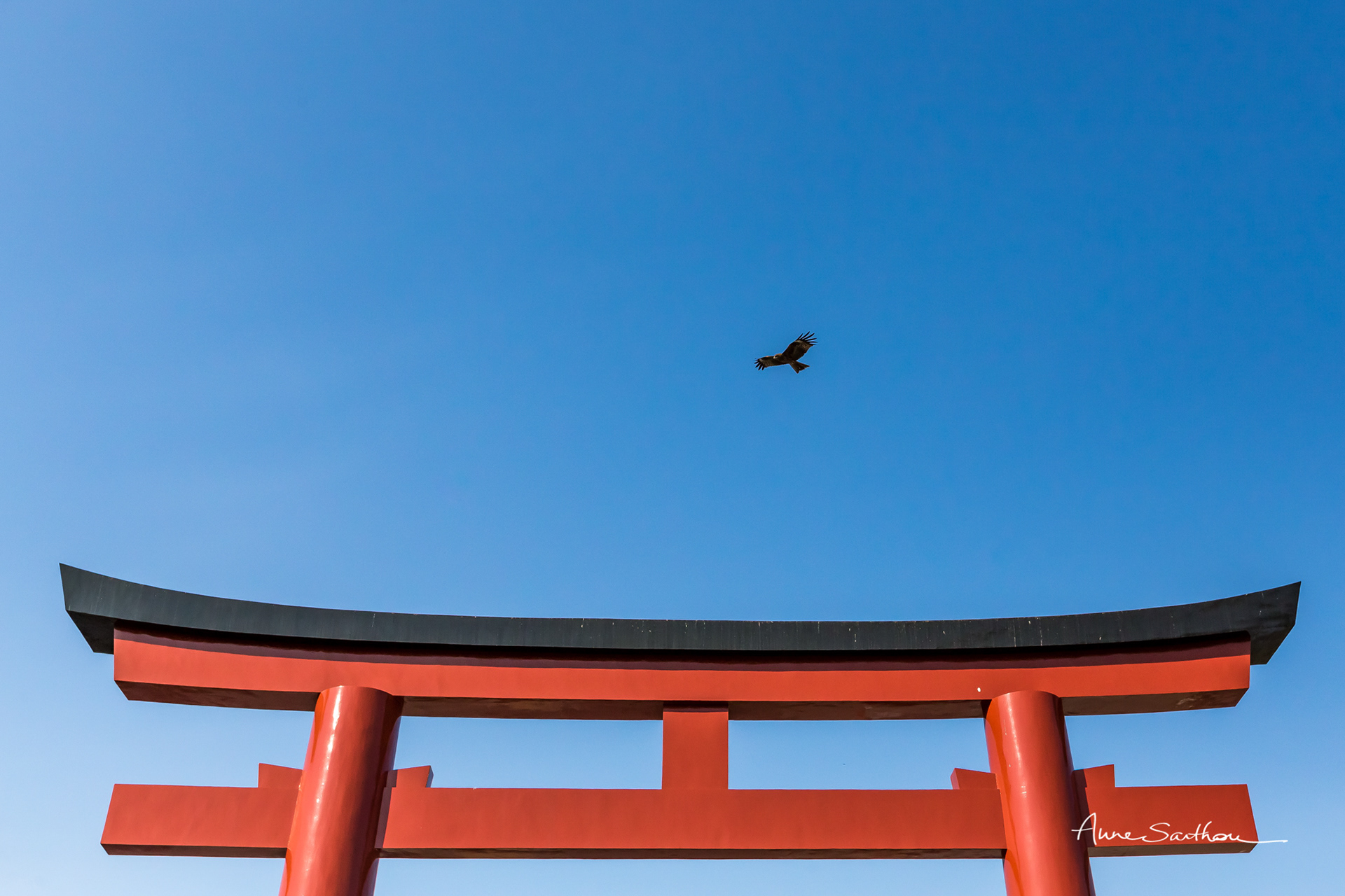 Ailes (Enoshima, Japon)