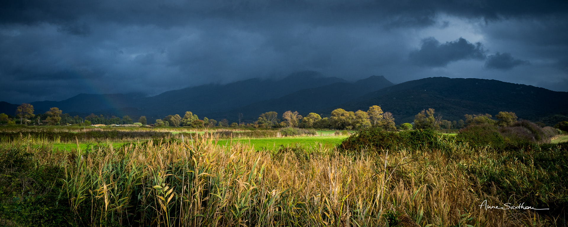 La prairie avant l'orage