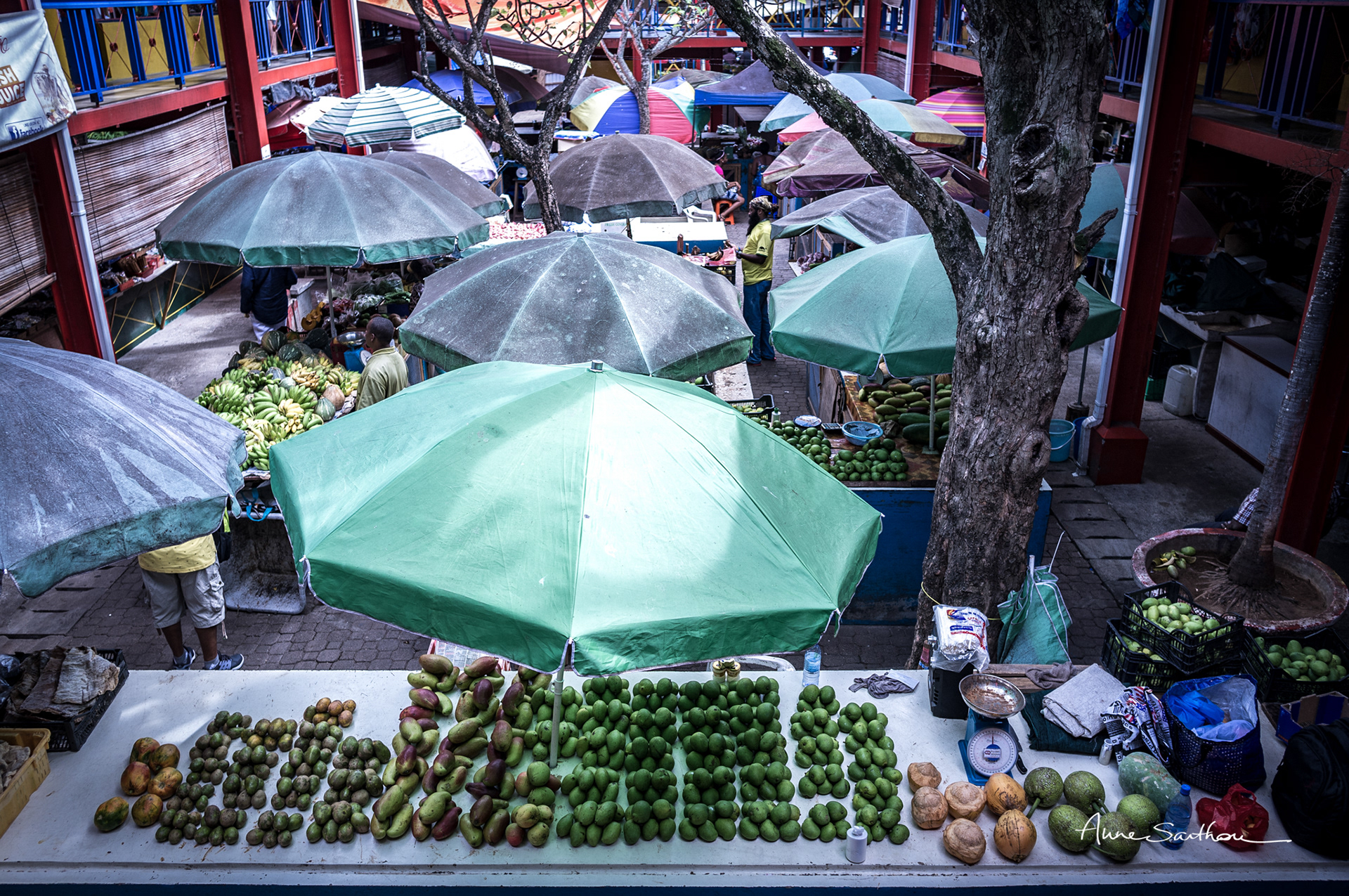Mangues au marché de Victoria