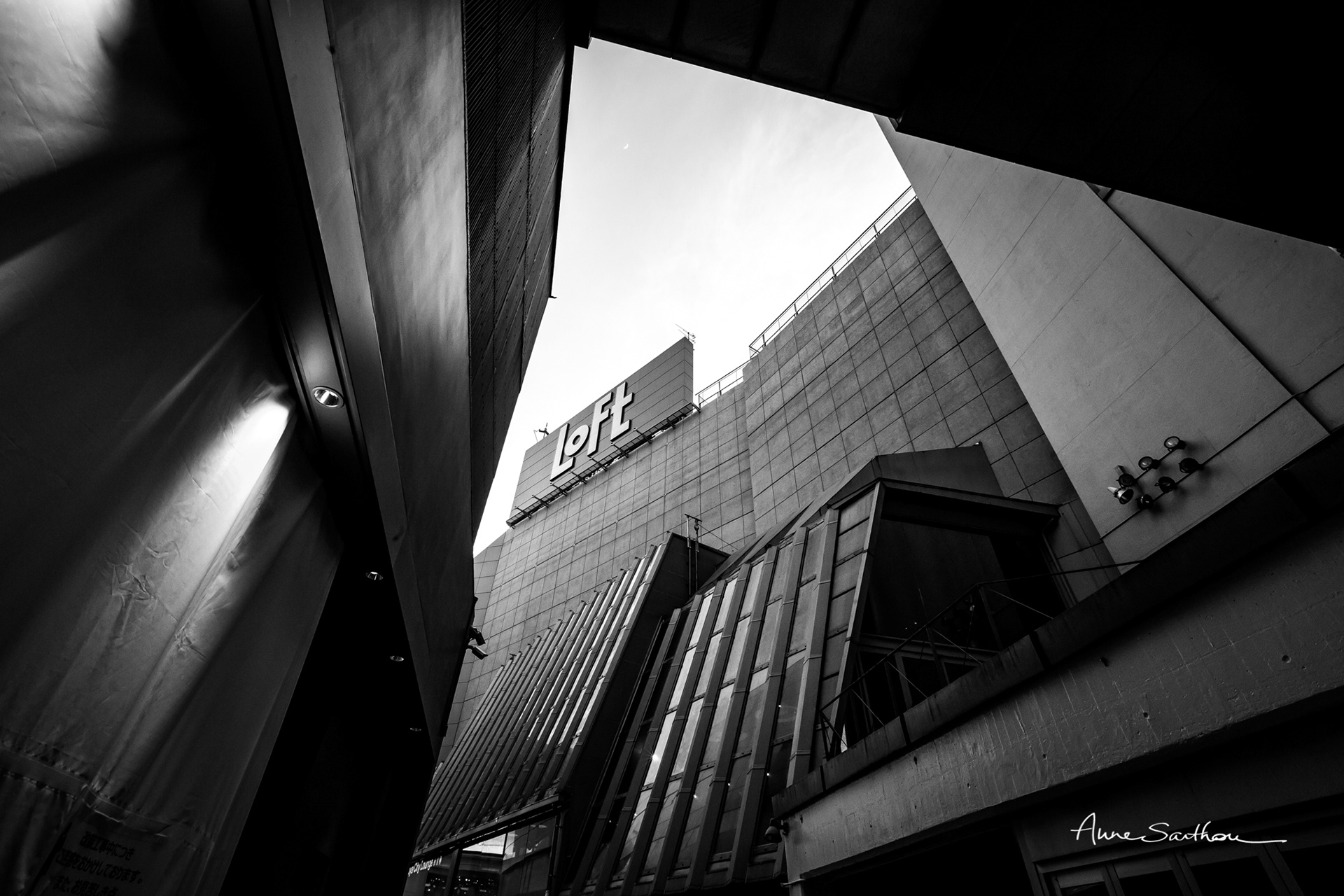 Loft (Ed. limitée)