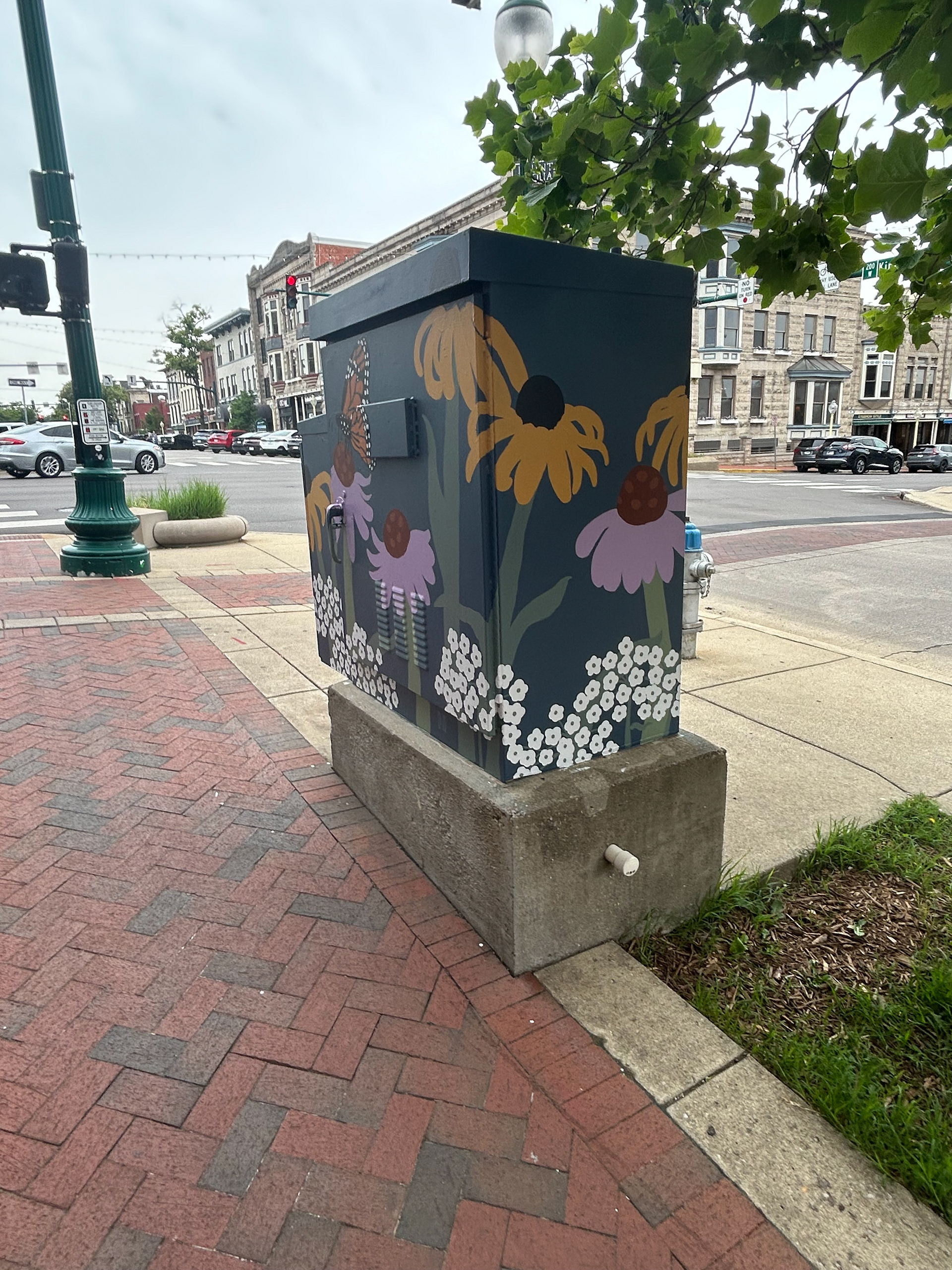 "Boxes in Bloom" Traffic Box Mural May 2025