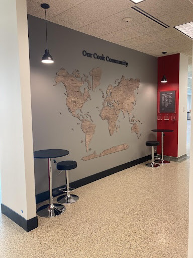 "Global Wall" (Internal Side) at Cook Medical's Global Headquarters