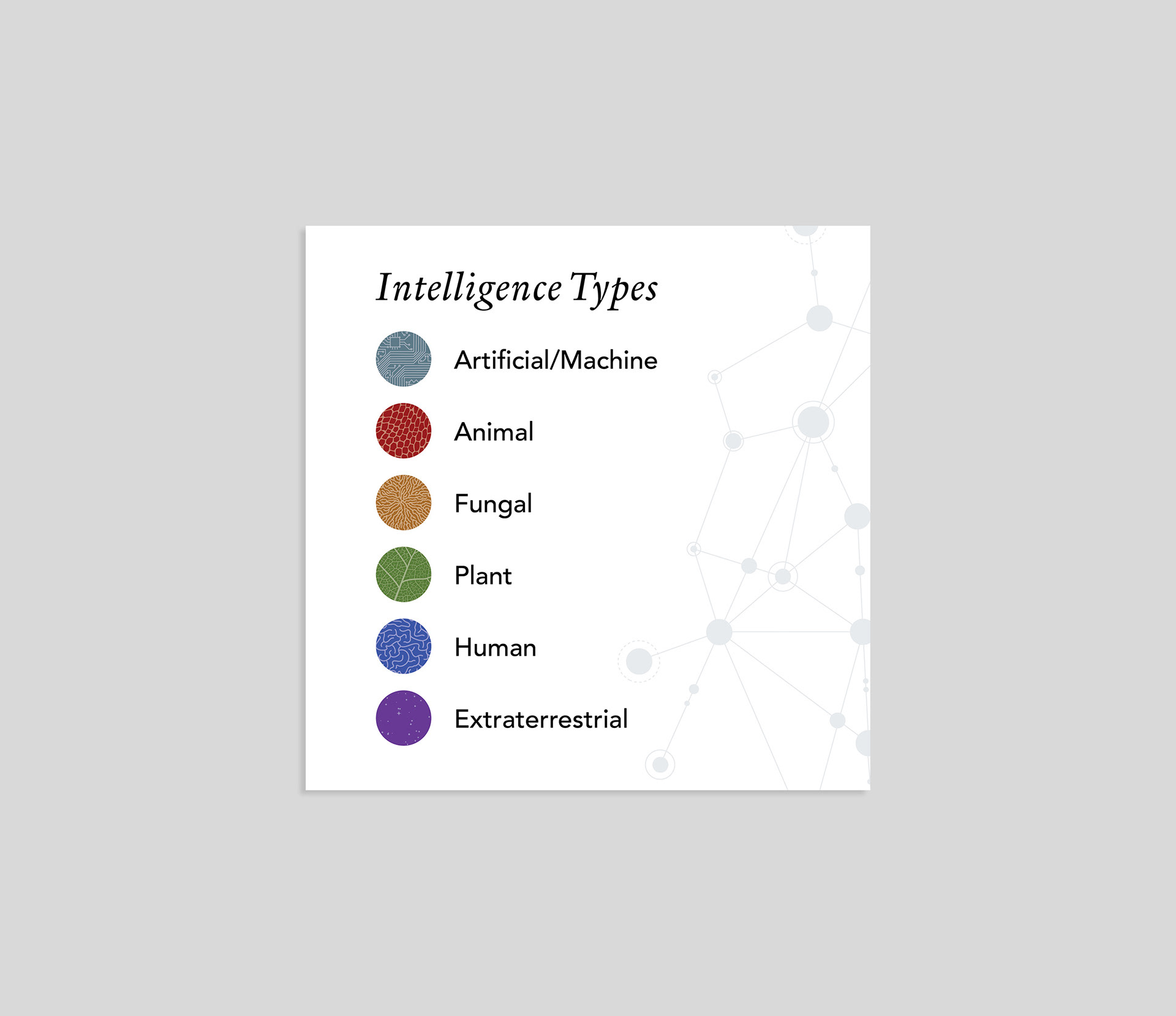 Envisioning Intelligences Exhibition Intelligence Types Key