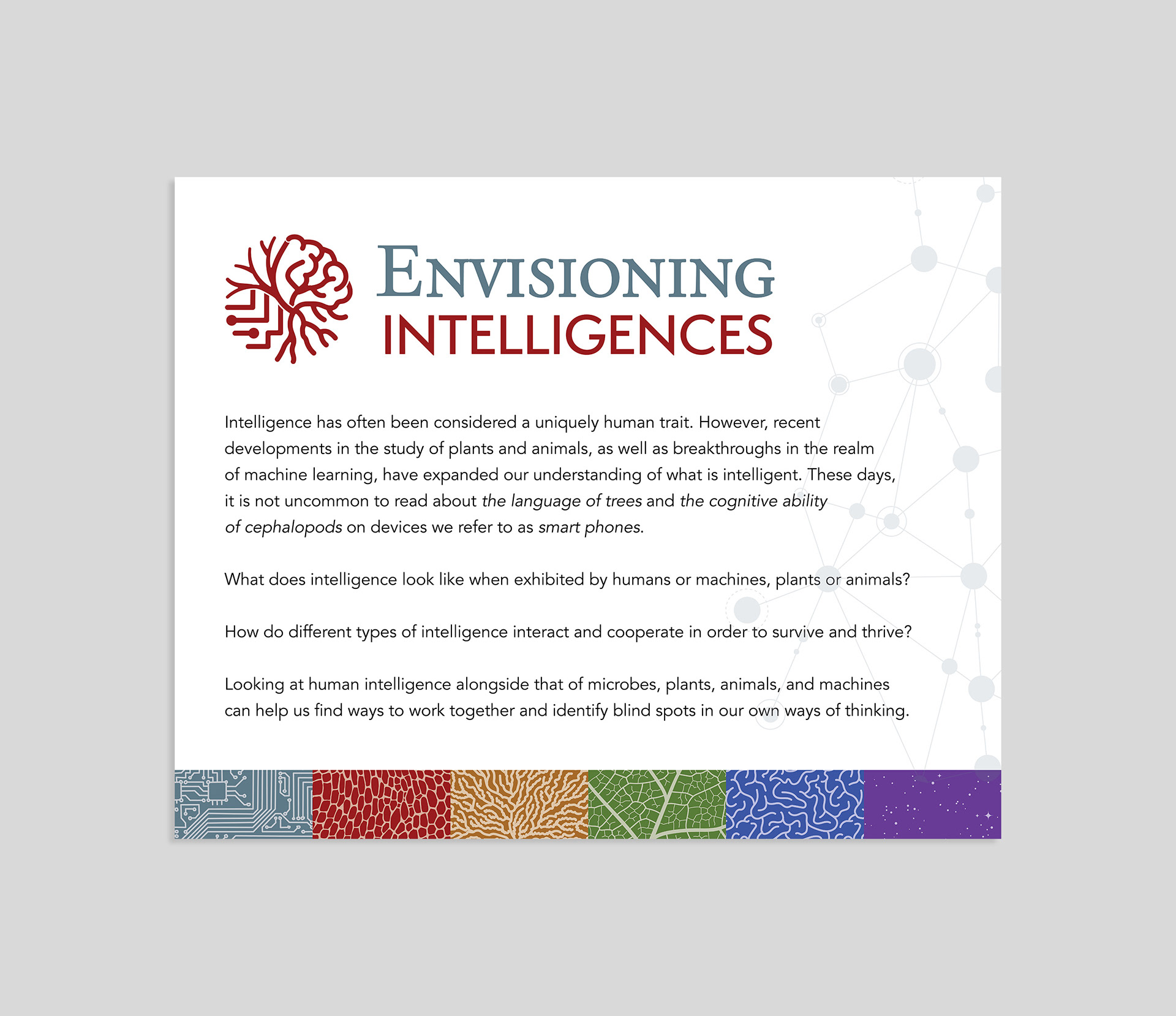 Envisioning Intelligences Exhibition Intro Panel