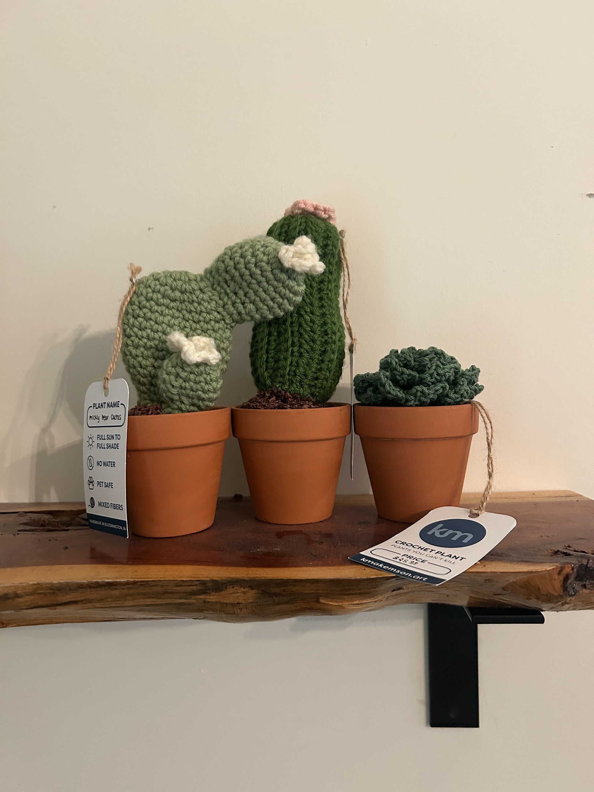 Crochet Plants-You-Can't-Kill